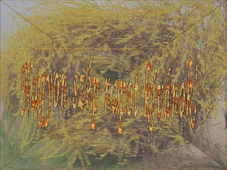 Nagyon szép napot kívánok! 