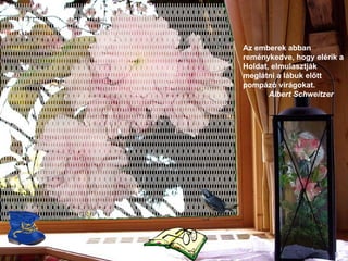 Az emberek abban reménykedve, hogy elérik a Holdat, elmulasztják meglátni a lábuk előtt pompázó virágokat .      Albert Schweitzer 