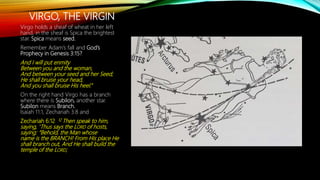 VIRGO, THE VIRGIN
Virgo holds a sheaf of wheat in her left
hand, in the sheaf is Spica the brightest
star. Spica means seed.
Remember Adam’s fall and God’s
Prophecy in Genesis 3:15?
And I will put enmity
Between you and the woman,
And between your seed and her Seed;
He shall bruise your head,
And you shall bruise His heel.”
On the right hand Virgo has a branch
where there is Subilon, another star.
Subilon means Branch.
Isaiah 11:1, Zechariah 3:8 and
Zechariah 6:12 12 Then speak to him,
saying, ‘Thus says the LORD of hosts,
saying: “Behold, the Man whose
name is the BRANCH! From His place He
shall branch out, And He shall build the
temple of the LORD;
 