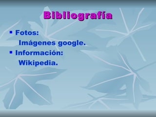 Bibliografía
   Fotos:
     Imágenes google.
   Información:
     Wikipedia.
 