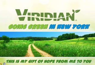 Going Green in New York




This is my gift of hope from me to you
 