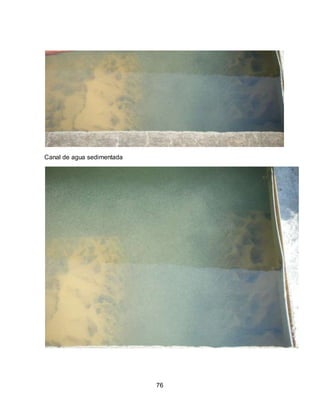 76 
Canal de agua sedimentada 
 