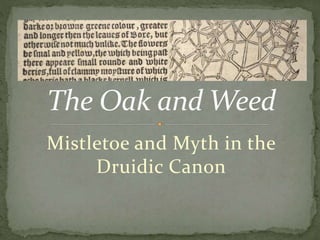 Mistletoe and Myth in the
Druidic Canon
 