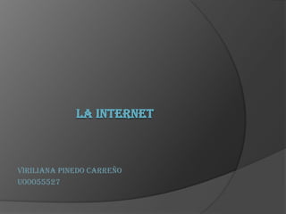 LA INTERNET  VIRILIANA PINEDO CARREÑO U00055527 