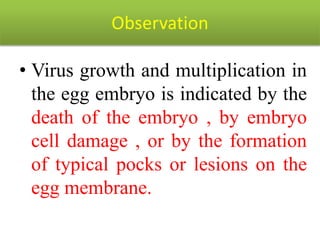 Observation
• Virus growth and multiplication in
the egg embryo is indicated by the
death of the embryo , by embryo
cell damage , or by the formation
of typical pocks or lesions on the
egg membrane.
 