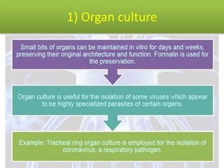 1) Organ culture
 