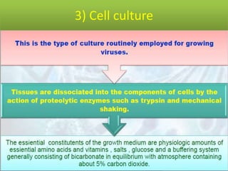 3) Cell culture
 