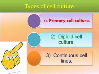 Types of cell culture
 