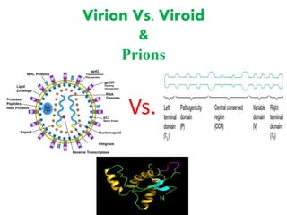 Virion Vs. Viroid
&
Prions
Vs.
 