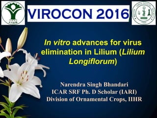 In vitro advances for virus
elimination in Lilium (Lilium
Longiflorum)
Narendra Singh Bhandari
ICAR SRF Ph. D Scholar (IARI)
Division of Ornamental Crops, IIHR
 