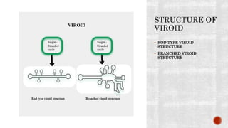 Viroid | PPT