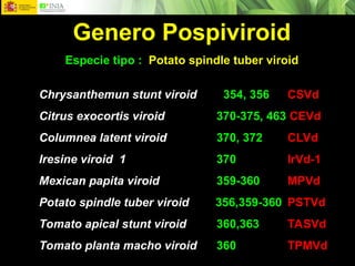 viroides-pptxxxxxxxxxxxxxxxxxxxxxxxxxxxxxxxx-ppt