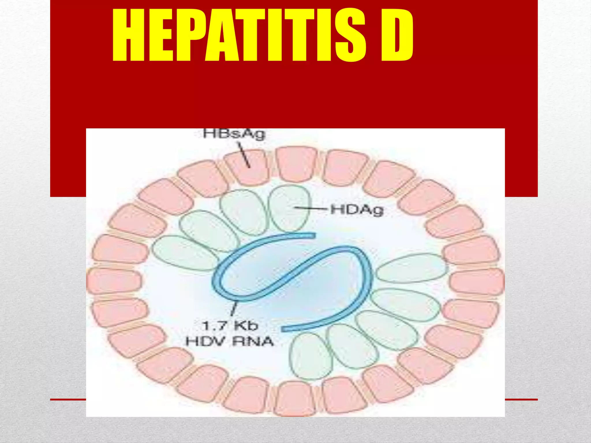 HEPATITIS D
 