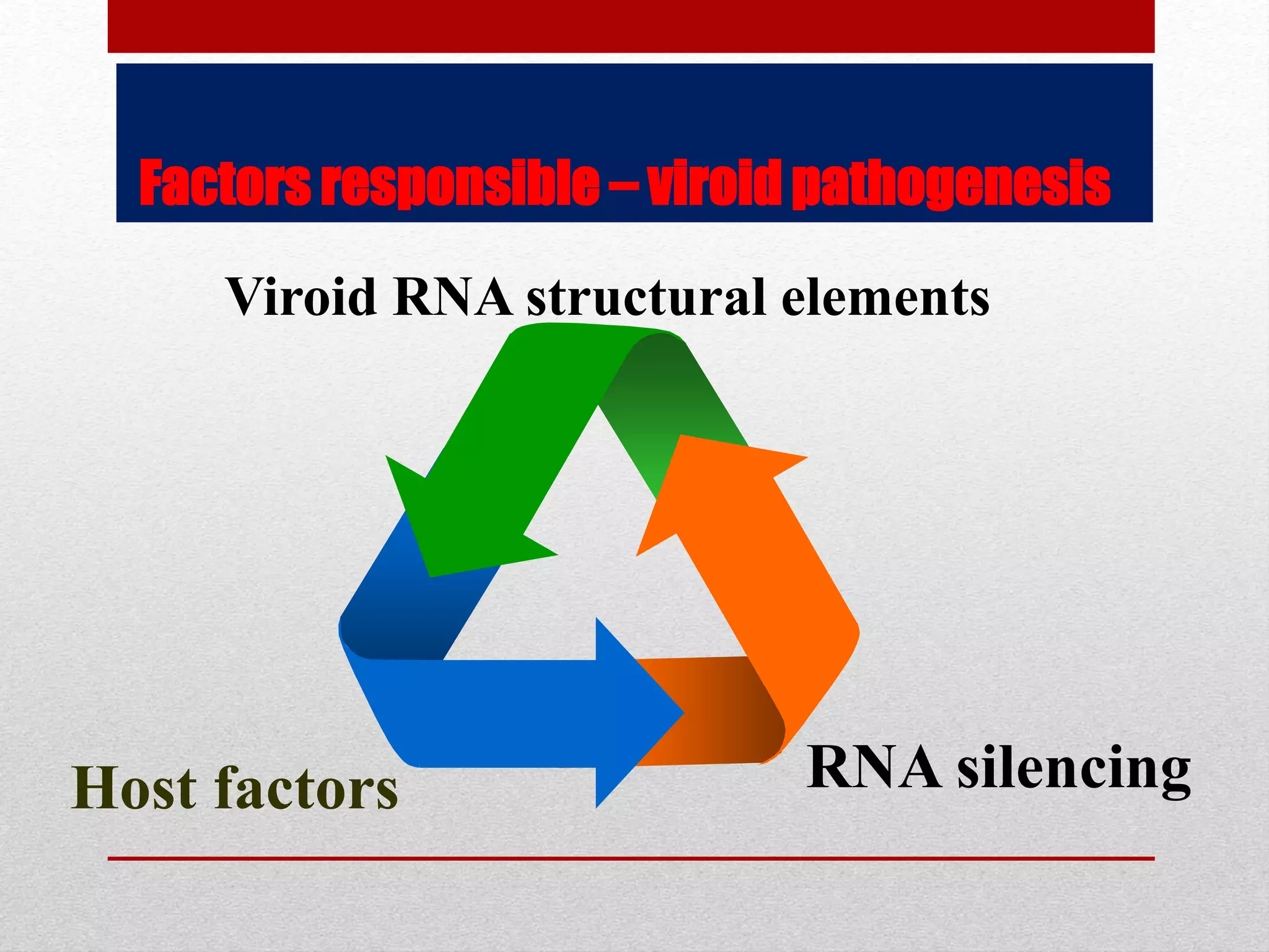 Host factors RNA silencing
Viroid RNA structural elements
Factors responsible – viroid pathogenesis
 