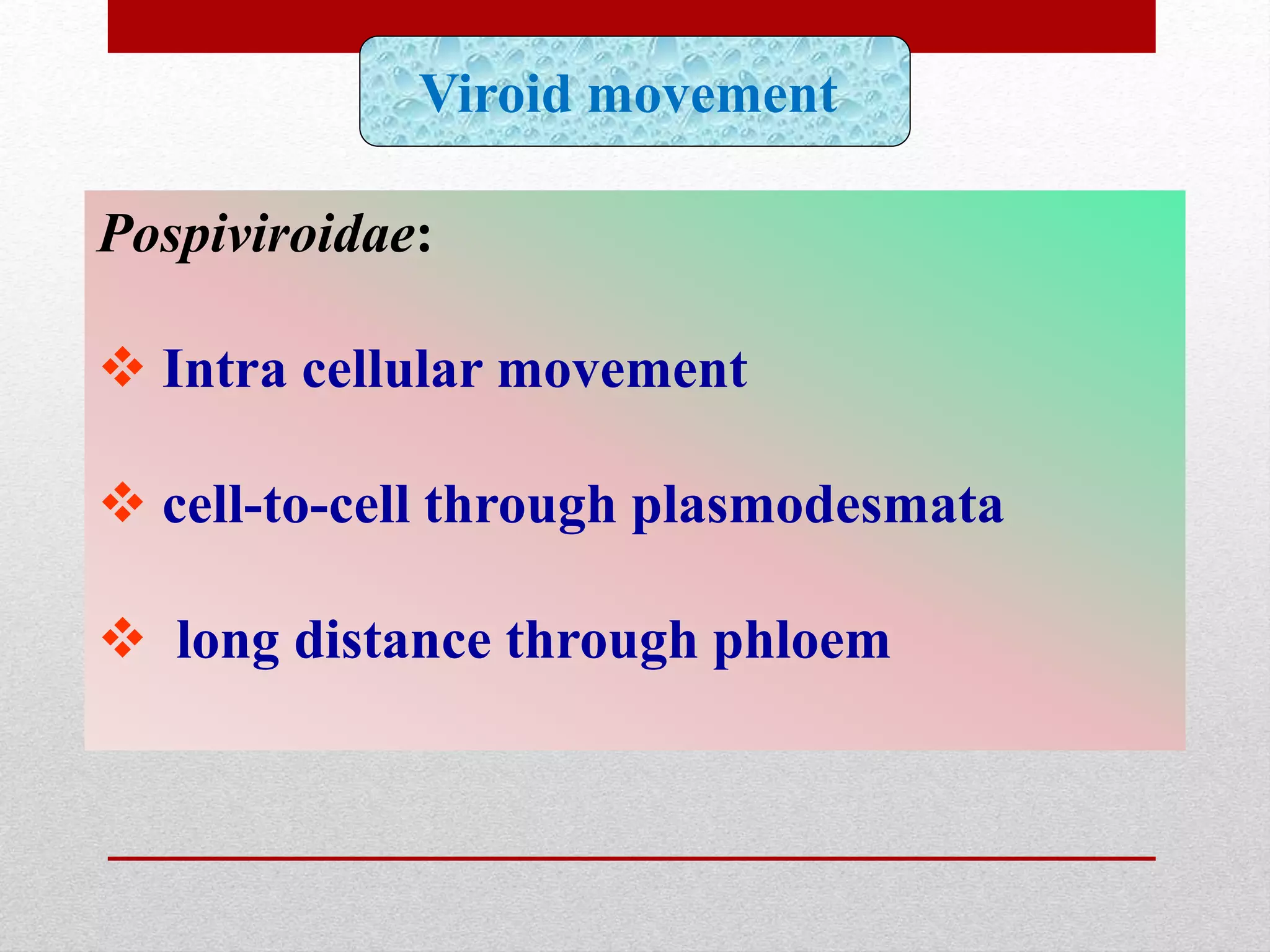 Pospiviroidae:
 Intra cellular movement
 cell-to-cell through plasmodesmata
 long distance through phloem
Viroid movement
 