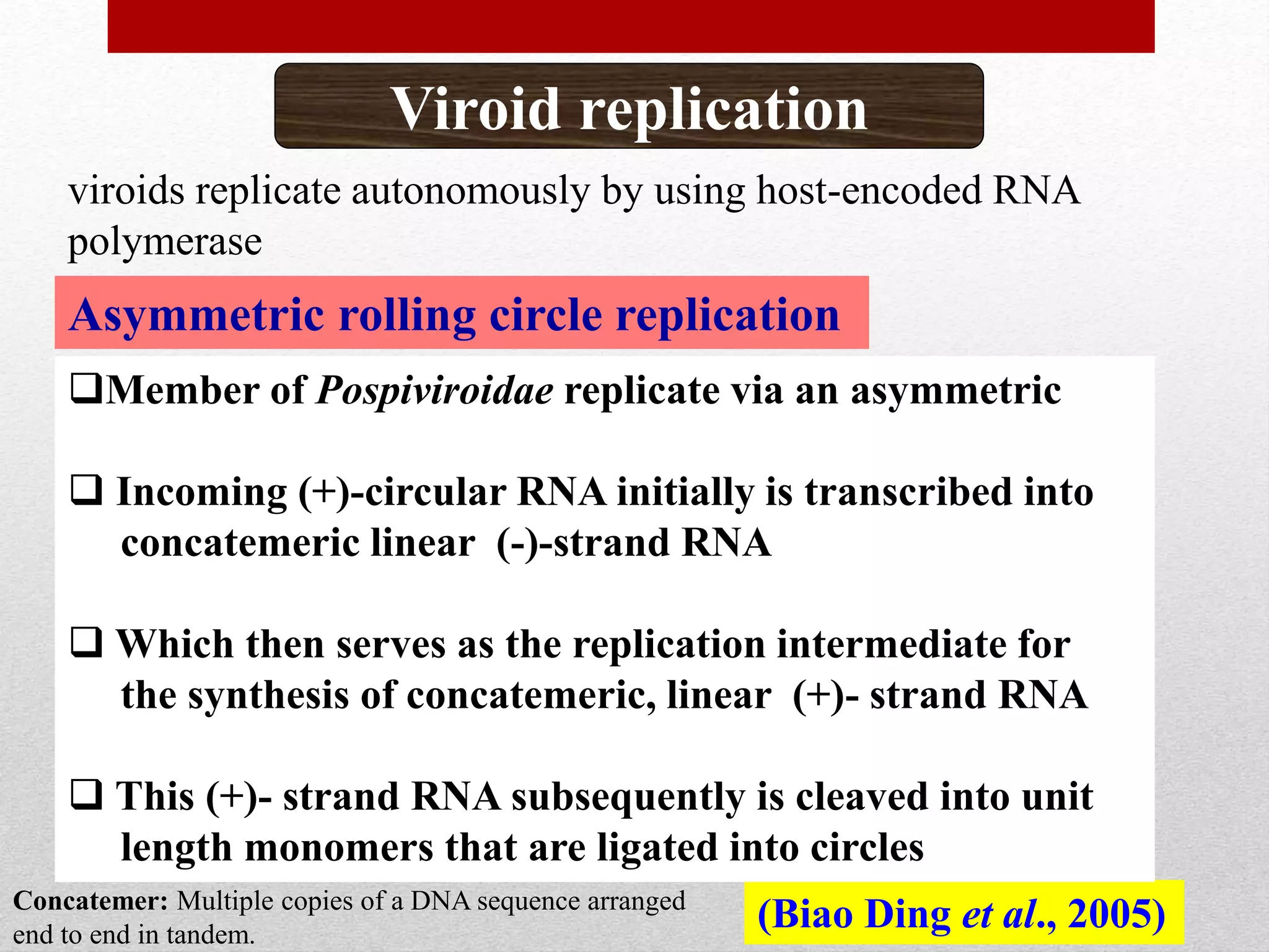 Asymmetric rolling circle replication
Viroid replication
(Biao Ding et al., 2005)
Member of Pospiviroidae replicate via an asymmetric
 Incoming (+)-circular RNA initially is transcribed into
concatemeric linear (-)-strand RNA
 Which then serves as the replication intermediate for
the synthesis of concatemeric, linear (+)- strand RNA
 This (+)- strand RNA subsequently is cleaved into unit
length monomers that are ligated into circles
viroids replicate autonomously by using host-encoded RNA
polymerase
Concatemer: Multiple copies of a DNA sequence arranged
end to end in tandem.
 