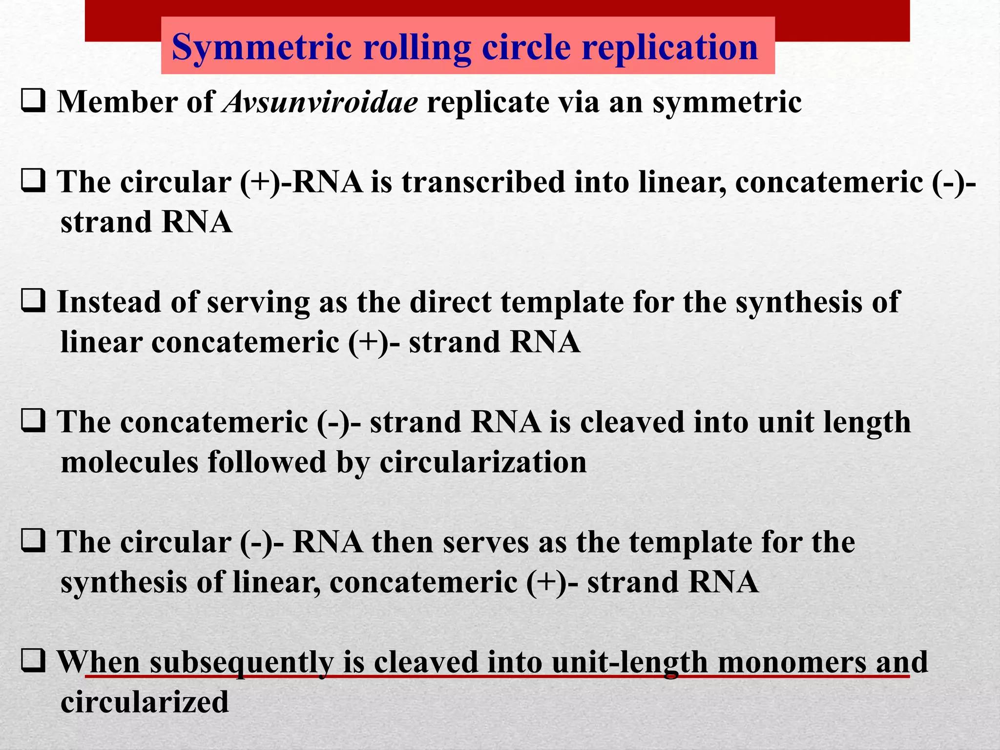 Symmetric rolling circle replication
 Member of Avsunviroidae replicate via an symmetric
 The circular (+)-RNA is transcribed into linear, concatemeric (-)-
strand RNA
 Instead of serving as the direct template for the synthesis of
linear concatemeric (+)- strand RNA
 The concatemeric (-)- strand RNA is cleaved into unit length
molecules followed by circularization
 The circular (-)- RNA then serves as the template for the
synthesis of linear, concatemeric (+)- strand RNA
 When subsequently is cleaved into unit-length monomers and
circularized
 