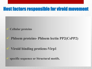 Host factors responsible for viroid movement
 Cellular proteins
 Phloem proteins- Phloem lectin PP2(CsPP2)
 Viroid binding protiens-Virp1
 specific sequence or Structural motifs.
 