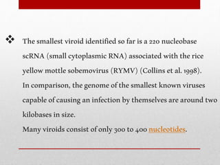  Thesmallestviroididentifiedsofarisa220nucleobase
scRNA(smallcytoplasmicRNA)associatedwiththerice
yellowmottlesobemovirus(RYMV)(Collinsetal.1998).
Incomparison,thegenomeofthesmallestknownviruses
capableofcausinganinfectionbythemselvesarearoundtwo
kilobasesinsize.
Manyviroidsconsistofonly300to400nucleotides.
 