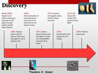 1974:
Confirmation that
viroids are non-
coding
1973: Electron
micrograph shows
viroid’s hairpin
structure
Discovery
Early 1960s:
Raymer and
O’Brien develop a
bioassay for the
agent causing
potato spindle
tuber disease
1965: Raymer
teams up with
Diener; they show
that agent is not a
typical virion
1971: Diener
demonstrates that
the agent is a free
non-coding RNA,
coins the term
viroid
1968:
Characterization of
chrysanthemum
stunt and citrus
exocortis as non-
typical viruses
1978: PSTVd is
sequenced
1976: EM
shows that
viroids form
closed circular
RNAs
Theodore O. Diener
 