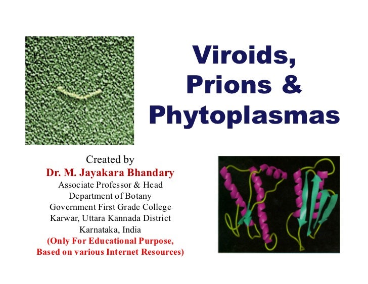 viroids and prions Tutorsglobecom virion, viroids and prions assignment help-homework help by online structure of a virus tutors. viroids and prions Tutorsglobecom virion, viroids and prions assignment help-homework help by online structure of a virus tutors.