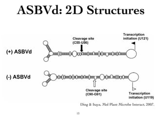 Viroids and the RNA World | PDF