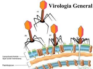 Virologia General 