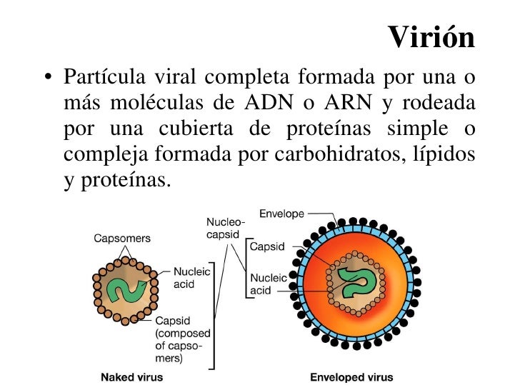 VirologíA VirologíA