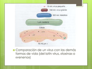  Comparación  de un virus con las demás
 formas de vida (del latín virus, «toxina» o
 «veneno»)
 