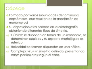 Cápside
 Formada    por varios subunidades denominadas
  capsómeros, que resultan de la asociación de
  monómeros)
 Su disposición está basada en la cristalografía,
  obteniendo diferentes tipos de simetría.
a) Cúbica: se disponen en forma de un icosaedro, se
   denominan cúbicos y su aspecto morfológico es
   esférico.
b) Helicoidal: se forman dispuestas en una hélice.
c) Compleja: virus sin simetría definida, presentando
   casos particulares según el caso.
 