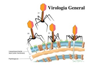 Virologia General
 