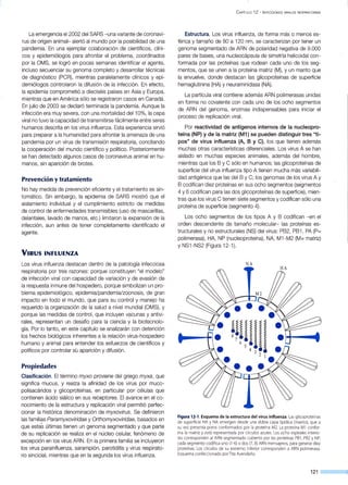 La emergenCia el 2002 del SARS -una variante de coronavi-
rus de origen animal- alertó al mundo por la posibilidad de una
pandemia. En una ejemplar colaboración de científicos, clíni-
cos y epidemiólogos para afrontar el problema, coordinados
por la OMS, se logró en pocas semanas identificar el agente,
incluso secuenciar su genoma completo y desarrollar técnicas
de diagnóstico (PCR), mientras paralelamente clínicos y epi-
demiólogos controlaron la difusión de la infección. En efecto,
la epidemia comprometió a dieciséis países en Asia y Europa,
mientras que en América sólo se registraron casos en Canadá.
En julio de 2003 se declaró terminada la pandemia. Aunque la
infección era muy severa, con una mortalidad dell 0%, la cepa
viral no tuvo la capacidad de transmitirse fácilmente entre seres
humanos descrita en los virus influenza. Esta experiencia sirvió
para preparar a la humanidad para afrontar la amenaza de una
pandemia por un virus de transmisión respiratoria, concitando
la cooperación del mundo científico y político. Posteriormente
se han detectado algunos casos de coronavirus animal en hu-
manos, sin aparición de brotes.
Prevención y tratamiento
No hay medida de prevención eficiente y el tratamiento es sin-
tomático. Sin embargo, la epidemia de SARS mostró que el
aislamiento individual y el cumplimiento estricto de medidas
de control de enfermedades transmisibles (uso de mascarillas,
delantales, lavado de manos, etc.) limitaron la expansión de la
infección, aun antes de tener completamente identificado el
agente.
VIRUS INFLUENZA
Los virus influenza destacan dentro de la patología infecciosa
respiratoria por tres razones: porque constituyen "el modelo"
de infección viral con capacidad de variación y de evasión de
la respuesta inmune del hospedero, porque simbolizan un pro-
blema epidemiológico, epidemia/pandemia/zoonosis, de gran
impacto en todo el mundo, que para su control y manejo ha
requerido la organización de la salud a nivel mundial (OMS), y
porque las medidas de control, que incluyen vacunas y antivi-
rales, representan un desafío para la ciencia y la biotecnolo-
gía. Por lo tanto, en este capítulo se analizarán con detención
los hechos biológicos inherentes a la relación virus-hospedero
humano y animal para entender los esfuerzos de científicos y
políticos por controlar su aparición y difusión.
Propiedades
Clasificación. El término myxo proviene del griego myxa, que
significa mucus, y realza la afinidad de los virus por muco-
polisacáridos y glicoproteínas, en particular por células que
contienen ácido siálico en sus receptores. El avance en el co-
nocimiento de la estructura y replicación viral permitió perfec-
cionar la histórica denominación de myxovirus. Se definieron
las familias Paramyxoviridae y Orthomyxoviridae, basados en
que estas últimas tienen un genoma segmentado y que parte
de su replicación se realiza en el núcleo celular, fenómeno de
excepción en los virus ARN. En la primera familia se incluyeron
los virus parainfluenza, sarampión, parotiditis y virus respirato-
rio sincicial, mientras que en la segunda los virus influenza.
CAPiTULO 12 - INFECCIONES VIRALES RESPIRATORIAS
Estructura. Los virus influenza, de forma más o menos es-
férica y tamaño de 80 a 120 nm, se caracterizan por tener un
genoma segmentado de ARN de polaridad negativa de 9.000
pares de bases, una nucleocápsula de simetría helicoidal con-
formada por las proteínas que rodean cada uno de los seg-
mentos, que se unen a la proteína matriz (M), y un manto que
la envuelve, donde destacan las glicoproteínas de superficie
hemaglutinina (HA) y neuraminidasa (NA).
La partícula viral contiene además ARN polimerasas unidas
en forma no covalente con cada uno de los ocho segmentos
de ARN del genoma, enzimas indispensables para iniciar el
proceso de replicación viral.
Por reactividad de antígenos internos de la nucleopro-
teína (NP) y de la matriz (M1) se pueden distinguir tres "ti-
pos" de virus influenza (A, B y C), los que tienen además
muchas otras características diferenciales. Los virus A se han
aislado en muchas especies animales, además del hombre,
mientras que los B y C sólo en humanos; las glicoproteínas de
superficie del virus influenza tipo A tienen mucha más variabili-
dad antigénica que las del By C; los genomas de los virus A y
B codifican diez proteínas en sus ocho segmentos (segmentos
4 y 6 codifican para las dos glicoproteínas de superficie), mien-
tras que los virus C tienen siete segmentos y codifican sólo una
proteína de superficie (segmento 4).
Los ocho segmentos de los tipos A y B codifican -en el
orden descendente de tamaño molecular- las proteínas es-
tructurales y no estructurales (NS) del virus: PB2, PBI, PA (P=
polimerasa), HA, NP (nucleoproteína), NA, MI cM2 (M= matriz)
y NSI-NS2 (Figura 12-1 ).
NA
Figura 12-1. Esquema de .la estructura del virus influenza. Las glicoproteínas
de superficie HA y NA emergen desde una doble capa lipídica (manto), que a
su vez presenta poros conformados por la proteína M2. La proteína Ml confor-
ma la matriz y está representada por círculos azules. Los ocho espirales interio-
res corresponden al ARN segmentado cubierto por las proteínas PBl , PB2 y NP;
cada segmento codifica uno (1-6) o dos (7, 8) ARN mensajeros, para generar diez
proteínas. Los círculos de su extremo inferior correspon,den a ARN polimerasa.
Esquema confeccionado por Tita Avendaño.
121
 