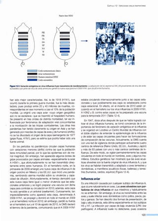 PB2
PBl
PA
HA
NP
NA
M
NS
Nuevo Asw HlNl
'---------' Cerdo norteamericano clásico
- - - Aviar norteamericano
~¡¡¡¡~ Humano estacional H3N2
• Cerdoeuroasiático
C APÍTULO 12 - INFECCIONES VIRALES RESPIRATORIAS
Figura 12·3.Variación antigénica en virus influenza A por mecanismo de reordenamiento.La adquisición de los segmentos NAyM provenientes de virusde cerdo
euroasiático por parte del virus de cerdo americano generó la nueva cepa porcina A2009 H1N1,que circuló entre humanos.
han sido mejor caracterizadas. Así, la de 1918 (H1 N1 ), que
ocurrió durante la primera guerra mundial, fue la más devas-
tadora, pues produjo entre 20 y 40 millones de muertes, co-
rrespondientes en ese momento a casi el 10% de la población
mundial. La originó una cepa aviar -cuyo origen geográfico
aún no se esclarece- que se trasmitió al hospedero humano.
Se presentó en tres ondas de distinta mortalidad, tal vez in-
fluenciada por fenómenos de adaptación viral concomitantes
a la movilización de las tropas combatientes. Las otras tres
pandemias han tenido claramente su origen en Asia y se han
generado por mezclas de cepas de aves y de humanos (shifts);
no se ha dilucidado el origen de la cepa reemergente de 1977
(gripe Rusa, H1 N1), pero se estima que podría haber sido una
fuente animal.
En los períodos no pandémicos circulan cepas humanas
con variaciones menores (drifts) contra las que la población
tiene inmunidad parcial, por lo que las epidemias son de me-
nor magnitud. Sin embargo, han aparecido algunos brotes de
gripe provocados por cepas animales -especialmente la aviar
A H5N1-, que afortunadamente no se han transmitido direc-
tamente entre seres humanos. En el hemisferio norte, en la
primavera de 2009 emergió una nueva cepa de influenza A de
origen porcino en México y los EE.UU. que inició una pande-
mia, sembrando alarma mundial sobre su virulencia y capa-
cidad de difusión. Afortunadamente, el tiempo demostró que
esta nueva cepa tiene igual o menor virulencia que las esta-
cionales anteriores y se logró preparar una vacuna con dicha
cepa para controlar su circulación en 201 O; además, esta cepa
ha sido s~nsible a un antiviral (oseltamivir). Curiosamente, tan
imprevisiblemente como apareció esta cepa, denominada A
2009 H1 N1, se propagó y dominó en todo el mundo en 2009
y en el hemisferio norte en 201 O; sin embargo, perdió su fuerza
en el hemisferio sur y el1 Ode agosto de 201 O, la OMS declaró
el término de la pandemia, comunicando que el A 2009 H1 N1
estaba circulando internacionalmente junto a las cepas esta-
cionales y que posiblemente esa cepa se establecería como
cepa estacional. En efecto, en el invierno de 201 O están cir-
culando en el hemisferio sur los virus influenzas A 2009 H1 N1,
A H3N2 y B; contra estas cepas se ha preparado una vacuna
para la temporada 2011 {Tabla 12-4).
En 1947, doce años después de que se había logrado cul-
tivar el virus influenza humana, se tomó conciencia de la im-
portancia del fenómeno de variación antigénica en la influenza
y se organizó en Londres un Centro Mundial de Influenza con
el doble objetivo de entender la epidemiología de la influenza
y de aislar las cepas circulantes para hacer las formulaciones
de composición de las vacunas. Actualmente, la OMS cuenta
con una red de vigilancia donde participan activamente cuatro
centros de referencia (Reino Unido, EE.UU., Australia y Japón)
y más de 83 países con uno o más centros centinelas de in-
fluenza. De este modo, se vigilan permanentemente las cepas
circulantes en todo el mundo en hombres, aves y algunos ma-
míferos. Estudios genéticos han mostrado que las aves acuá-
ticas silvestres son la fuente original de virus influenza A, y que
los virus se habrían transmitido y adaptado a aves terrestres y
domésticas, a mamíferos acuáticos (focas, ballenas) y terres-
tres {humanos, cerdos, equinos) (Figura 12-4).
Influenza aviar
Es una infección causada por cualquier subtipo de influenza A,
que ocurre naturalmente en aves. Las aves silvestres son por-
tadoras de virus influenza en sus intestinos y habitualmente
no se enferman. Sin embargo, el virus es transmisible entre las
aves y suele infectar aves domésticas como pollos, pavos, pa-
tos y gansos. Se han descrito dos formas de presentación, de
baja y alta virulencia, esta última especialmente en los subtipos
H5 y H7. La infección por cepas de baja virulencia (LPAI: /ow
pathogenic A influenza) suele no detectarse, pues ocasiona
123
 