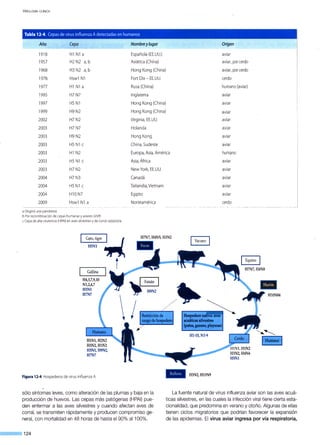 V IROLOGÍA CLÍNICA
Tabla 12-4. Cepas de wus mtluenza Adetectadas en humanos
Año Nombre ylugar Origen
1918 H1 N1 a Española (EE.UU.) aviar
1957 H2 N2 a,b Asiática (China) aviar, por cerdo
1968 H3 N2 a, b Hong Kong (China) aviar, porcerdo
1976 Hsw1N1 Fort Dix - EE.UU. cerdo
1977 H1 N1a Rusa (China) humano (aviar)
1995 H7 N7 Inglaterra aviar
1997 H5 N1 Hong Kong (China) aviar
1999 H9 N2 Hong Kong (China) aviar
2002 H7 N2 Virginia, EE.UU. aviar
2003 H7 N7 Holanda aviar
2003 H9 N2 Hong Kong aviar
2003 H5 N1 e China, Sudeste aviar
2003 H1 N2 Europa, Asia, América humano
2003 H5 N1 e
2003 H7 N2
2004 H7 N3
2004 H5 N1 e
2004 H10 N7
2009 Hsw1N1a
aOriginó una pandemia
b Por recombinación de cepas humanas y aviares (shift)
eCepa de alta virulencia (HPAI)en aves silvestres y de corral:epizootia
Gato, tigre
HSNl
Gallina
H4,5,7,9,10
N1,2,4,7
HSNl
H7N7
Asia,África aviar
New York, EE.UU. aviar
Canadá aviar
Tailandia,Vietnam aviar
Egipto aviar
Norteamérica cerdo
Vacuno
Equino
H7N7,H4N8
Faisán
H9N2
HlON84
Restricción de
rangodehospedero
~~acúticassilvestres
(patos,gansos,playeras)
Figura 12-4.Hospederos de virusinfiuenza A.
sólo síntomas leves, como alteración de las plumas y baja en la
producción de huevos. Las cepas más patógenas (HPAI) pue-
den enfermar a las aves silvestres y cuando afectan aves de
corral, se transmiten rápidamente y producen compromiso ge-
neral, con mortalidad en 48 horas de hasta el 90% al 100%.
--·124
Hl-15, Nl-9
La fuente natural de virus influenza aviar son las aves acuá-
ticas silvestres, en las cuales la infección viral tiene cierta esta-
cionalidad, que predomina en verano y otoño. Algunas de ellas
tienen ciclos migratorios que podrían favorecer la expansión
de las epidemias. El virus aviar ingresa por vía respiratoria,
 