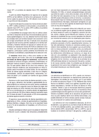 VIROLOGÍA ClÍNICA
mayor VP1 y la proteína de cápside menor VP2, respectiva-
mente.
A partir de análisis filogenéticos de regiones de la cápside
(ORF2), se han definido a la fecha cinco genogrupos, Gl a GV,
de los cuales los grupos Gl, Gil y GIV afectan al ser humano,
en que Gil es el más prevalente.
El genoma del sapovirus posee dos marcos de lectura abier-
ta. ORF1 codifica proteínas no estructurales y una proteína de
cápside mayor (VP1). Por su parte, ORF2 codifica una proteína
estructural menor (Figura 13-4).
La imposibilidad de propagar estos virus en cultivos celula-
res limitó el desarrollo de técnicas inmunoenzimáticas para es-
tudios epidemiológicos. A su vez, detectar HuCVs en las heces
·es complejo tanto por la breve duración de la excreción como
por la baja concentración del virus. El estudio de la secuencia
del genoma del norovirus permitió clasificarlo en la familia Cali-
civiridae y mediante métodos de reacción en cadena de la po-
limerasa con trascripción reversa (RT-PCR) se detectaron virus
en heces. Las nuevas técnicas de ELISA para la detección de
antígenos y anticuerpos usando proteínas recombinantes han
aumentado la sensibilidad y especificidad de la detección viral.
El norovirus infecta tanto a niños como adultos en dife-
rentes regiones del mundo. Este virus es la principal causa
de brotes de diarrea aguda no bacteriana, especialmente
asociados al consumo de agua y alimentos contaminados, en
particular mariscos bivalvos crudos o insuficientemente coci-
dos. En este sentido difiere de los otros virus entéricos, que
causan infección endémica casi exclusivamente en niños lo-
grando cierta inmunidad en la edad adulta. Se han reportado
brotes de diarrea aguda atribuibles a este virus en colegios,
universidades, campos de esparcimiento, restaurantes, cru-
ceros de placer y en ciudades con fuentes de agua potable
contaminadas.
Norovirus no sólo causa brotes de diarrea asociado a consu-
mo de agua y alimentos, sino también a gastroenteritis de ca-
rácter endémico en menores de cinco años, siendo considerado
actualmente como la segunda causa de diarrea de origen viral
luego de rotavirus en niños menores cinco años-. Esta observa-
ción se ve corroborada por un reciente estudio de seguimiento
de una cohorte de 190 niños chilenos desde el nacimiento hasta
los 18 meses de edad. En este estudio, el 20% de los episodios
de diarrea aguda se asoció a norovirus.
El sapovirus causa episodios de diarrea esporádicos prin-
cipalmente en niños, y brotes de gastroenteritis en hospitales,
jardines infantiles y colegios. Este virus se ha reportado hasta
en el 5,1% de los episodios en hospitales y el 3,4% en la co-
munidad.
Estudios serológicos indican que en los países en desarrollo
la infección ocurre a edades más tempranas probablemente
5'
ORFl:ARN poljmerasa
por una mayor exposición en comparación con países indus-
trializados. En Chile, un estudio seroepidemiológico demostró
que entre los cuatro y cinco años de edad, cerca del 80% de
los niños han sido expuestos al virus; en la edad adulta, más
del 90% posee anticuerpos contra el norovirus. La seropreva-
lencia resultó mayor en individuos pertenecientes a los estratos
socioeconómicos más bajos, observación semejante a lo que
ocurre en el caso de otros agentes de diseminación fecal-oral,
como el virus de la hepatitis A.
En relación a la expresión clínica de la infección por norovi-
rus, la evidencia sugiere que en general, la infección resultante
es menos severa en cuanto a la magnitud y duración de la fie-
bre, vómito y diarrea, que la infección por rotavirus, lo que no
descarta la posibilidad de que ocurran episodios de infección
por norovirus tan severos como los observados para rotavirus.
Los estudios dirigidos a evaluar la inducción de inmunidad
protectora asociada a HuCVs, específicamente norovirus, no
han sido alentadores. Estudios en voluntarios adultos que re-
cibieron dosis repetidas de virus sugieren que una primoinfec-
ción no induce protección consistente contra una reinfección
sintomática. A diferencia del rotavirus, se ha demostrado que
las reinfecciones sintomáticas por norovirus a lo largo de la
vida son una posibilidad. La explicación más plausible para
este diferente comportamiento biológico está en la diversidad
antigénica de los norovirus. Los errores de la actividad de la
ARN polimerasa derivan en la producción frecuente y constan-
te de nuevas variantes virales. Es probable que ello derive en
la generación de nuevos tipos antigénicos que "escapen" a la
inmunidad inducida por una infección previa.
AsTROVIRUS
Los astrovirus se identificaron en 1975, cuando con microsco-
pia electrónica se observaron en deposiciones partículas que
asemejaban una estrella de cinco puntas, por lo que reciben
el nombre de astrovirus (Figura 13-1 D). Mediante esta misma
técnica se identificó a estos virus agentes causantes de epi-
sodios esporádicos y también de brotes de diarrea en niños
y adultos. Debido a que la microscopia electrónica presenta
limitaciones para el diagnóstico del virus, la importancia clínica
y epidemiológica de este agente se conoce sólo parcialmente.
Gracias al posterior análisis de la secuencia del genoma del
virus se pudo clasificar dentro de la familia Astroviridae y fue
posible detectarlo en forma rutinaria usando sondas molecula-
res y/o la reacción en cadena de la polimerasa.
Los astrovirus son virus icosaédricos desnudos, de 28 nm
de diámetro, cuyo genoma es una hebra simple de ARN de 6,8
a 7,6 kb de polaridad positiva, que contiene tres marcos de
lectura abierta (ORF), secuenciales. ORF1 a y ORF1 b, que se
localizan en el extremo terminal 5' del genoma, codifican para
3'
ORF2:VP1 ORF3:VP2
Figura 13-4.Genoma de calicivirus humano. ARN de simple hebra, polaridad positiva con tres marcos de lecturaabiertos (ORF) que codifican tres proteínas.
--·142
 