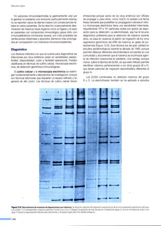 V IROLOGiA CLiNICA
En personas inmunodeprimidas la gastroenteritis viral por
lo general no presenta una evolución particularmente intensa;
no se reportan casos de diarrea masiva con consecuencias fa-
tales en estos pacientes. Se ha descrito ocasionalmente dise-
minación de rotavirus hacia órganos como el hígado y el bazo
en pacientes con compromiso inmunológico grave (niño con
inmunodeficiencia combinada severa); son más probables las
reinfecciones intestinales y episodios diarreicos más prolonga-
dos-en comparación con individuos inmunocompetentes.
Diagnóstico
Los diversos métodos con que se cuenta para diagnosticar las
infecciones por virus entéricos varían en sensibilidad, especi-
ficidad, disponibilidad, costo y facilidad operacional. Pueden
clasificarse en técnicas de cultivo celular, microscopia electró-
nica, de detección genómica e inmunológicas.
El cultivo celular y la microscopia electrónica se restrin-
gen fundamentalmente a laboratorios de investigación, porque
son técnicas laboriosas que requieren un equipo refinado y en
general de alto costo. Las técnicas de cultivo celular tienen
limitaciones porque varios de los virus entéricos son difíciles
de propagar y, para otros, como HuCV, no existen a la fecha
líneas celulares que posibiliten su propagación rutinaria in vítro .
La microscopia electrónica tiene una sensibilidad intermedia,
requiriéndose 106
a 107
partículas virales por gramo de depo-
sición para su detección. La electroforesis, que fue el recurso
diagnóstico preferente para la detección de rotavirus durante
años, se basa en observar el patrón de migración de los once
segmentos genómicos del ARN de rotavirus en geles de po-
liacrilamida (Figura 13-5). Esta técnica fue de gran utilidad en
estudios epidemiológicos durante la década de 1980, porque
permitió detectar diferentes electroferotipos circulantes en una
comunidad y documentar que el rotavirus es el principal agen-
te de infección nosocomial en pediatría. Una ventaja, aunque
menor, sobre la técnica de ELISA, es que este método permite
identificar rotavirus pertenecientes a los otros grupos (B a F),
que tienen patrones de migración electroforético diferentes al
grupo A
Los ELISA comerciales no detectan rotavirus del grupo
B y C. La electroforesis también se ha aplicado a estudios
Figura 13-5.Electroforesis de muestras de deposiciones con rotavirus.Se observan patrones de migración característicos de los once segmentos genómicos del virus.
Los carriles 1y Scorresponden a rotavirus patrones "cortos" y los 2, 4 y 7 a"largos"; la aparición de más bandas en 3 (mezcla de largos 2 y 4) y en 6 (mezclade corto 5con
largo 7) ilustra la capacidad del método para discriminar ycomparar cepas para fines epidemiológicos.
--·144
 
