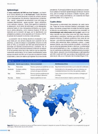 VIROLOGÍA CLÍNICA
Epidemiología
El único reservorio del HAV es el ser humano y se trasmi-
te en forma eficiente por la vía fecal-oral. Puede difundirse
por el ciclo corto entre per_sonas a través de contacto cercano
o por manipuladores de alimentos (deposiciones contamina-
das - manos - preparación de alimentos) o por ciclo largo en
ciudades (deposiciones - aguas servidas - agua y alimentos,
como verduras, mariscos - boca). Este agente es resistente a
la desecación, al pH ácido del estómago y a los detergentes,
sobrevive hasta un mes a temperatura ambiente y se concen-
tra en ciertos alimentos, como mariscos bivalvos. El HAV es
destruido por la cloración del agua, por la desinfección con
antisépticos yodados y al ser expuesto por 5 minutos a 100 °C.
El período de incubación es de dos a seis,semanas.
La excreción viral es intensa durante la incubación y con-
tinúa hasta por una semana después de la aparición de los
síntomas. La tasa de ataque a susceptibles cercanos es alta
(50% al 75%). La circulación del HAV está estrechamente re-
lacionada con factores socioeconómicos y sanitarios. Así, en
países con malas condiciones sanitarias la infección se adquie-
re en los primeros años de la vida, edad en que es preponde-
rantemente asintomática. En los países industrializados existe
escasa circulación de HAV, por lo que sólo se observan brotes
ocasionales y casos de viajeros que regresan de zonas de alta
Tabla 14-2. Patrones globales de transmisión de la hepatitis A
Endemicidad Edadde mayor incidencia Patrón de transmisión
prevalencia. El principal problema de salud pública se concen-
tra en países en transición epidemiológica donde aún circula el
virus, pero el contagio se produce a edades mayores, gene-
rando muchos casos sintomáticos y en ocasiones de mayor
gravedad (Tabla 14-2 y Figura 14-1).
Cuadro clínico
Clínicamente la enfermedad dura alrededor de cuatro sema-
nas. Todas las formas evolutivas (habitual, prolongada, coles-
tásica, fulminante) corresponden al modelo de infección aguda;
la infección es autolimitada y no evoluciona a la cronicidad. La
sintomatología está relacionada con la edad, pues en los
niños menores de cinco años cerca del 90% tiene infección
asintomática o subclínica, mientras que el 80% de los adultos
presenta síntomas. El período prodrómico dura cerca de una
semana -con síntomas inespecíficos como anorexia, náuseas,
vómitos, dolor abdominal, fiebre moderada y coluria- y luego
aparece ictericia, que inicia el período de estado, momento en
que los síntomas generales tienden a disminuir. La enfermedad
dura aproximadamente un mes. La sospecha clínica se confir-
ma con exámenes de laboratorio: hiperbilirrubinemia de predo::
minio directo, elevación de aminotransferasas e lgM específica
anti-HAV. La lgG anti-HAV, que se eleva más tardíamente y per-
siste de por vida, es un marcador de inmunidad (Figura 14-2).
Manifestaciones clínicas
Alta Preescolares
Moderada Escolares y adultos
jóvenes
Personaa persona; las epidemias son raras
Persona a persona; epidemias por
consumo de agua o alimentos
Mayoritariamente asintomáticos por la edad de losafectados
Asintomáticos los más pequeños, pero con síntomas y en
modalidad de brote en los niños más grandes y adultos
Baja Adultos jóvenes
Muy baja Adultos
• Alta
CJ Baja
O Muybaja
Personaa persona;epidemias por
consumo de aguao alimentos
Viajeros; epidemias son raras
Casos clínicos ocurren en brotes asociados acontagios por
ciclo largo
Clínica es reconocida en viajeros o personas de riesgo
Figura 14-1.Distribución mundial de los patrones de'ewndemicidad de la hepatitis A. Adaptado de: Jacobsen. KH, Wiersma ST. Hepatitis Avirus seropFevalerke by age and
world region, 1990 and 2005.Vaccine 201O; 28:6655.
150
 