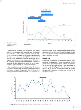 CAPÍTULO 14 - VIRUS HEPATITIS
Ictericia (si ocurre)
Incubación Pródromo
Viremia
Figura 14·2. Marcadores
clínicos y de laboratorio
en la hepatitisA
l
Virus en heces
o
t
Ingestión del virus
La letalidad de la hepatitis A en la población sana es baja
(0,015% al 0,3%), pero se eleva notablemente en individuos de
más de 49 años. La falla hepática fulminante, que es una com-
plicación infrecuente, debe reconocerse precozmente, pues su
derivación a centros de alta complejidad es esencial para el
pronóstico. Los indicadores de gravedad en el curso de una
hepatitis son vómitos persistentes, alteraciones del sueño o
de conciencia, manifestaciones hemorragíparas, disminución
brusca del tamaño hepático, prolongación del tiempo de pro-
trombina y reducción súbita del nivel de transaminasas.
No existe tratamiento antiviral específico. El monitoreo
habitual incluye mediciones de bilirrubina, transaminasas y de
protrombina en sangre. El reposo y la dieta no influyen en el
curso de la enfermedad. Se recomienda evitar sustancias he-
4
IgG
IgM
5 7 9 10 11 12 13 14
Semanas
patotóxicas como alcohol o medicamentos de metabolismo
hepático preferencial durante la infección. El trasplante hepá-
tico es una medida extrema y debe plantearse precozmente
frente a la hepatitis fulminante.
Prevención
El adecuado tratamiento de aguas servidas, así como la dis-
ponibilidad de agua potable y buena disposición de excretas
constituyen los ejes de la prevención. También son importan-
tes las medidas de higiene personal y evitar el consumo de
mariscos crudos. En la Figura 14-3 se observa que la inten-
sificación de las medidas sanitarias a propósito de una epi-
demia de cólera, disminuyó transitoriamente la incidencia de
hepatitis A en Chile.
120 Campaña cólera
100
"'j!l
.§ 80
:.o
"'..e::
o
o 60o
o
;::;
....
o
o.. 40
~
"'u
20
Figura 14-3. Tasas de incidencia de hepatitis A en Chile: 1975-2006. Fuente: Ministerio de Salud, Chile.
151
 