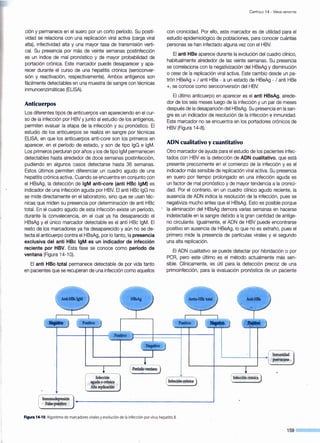 ción y permanece en el suero por un corto período. Su positi-
vidad se relaciona con una replicación viral activa (carga viral
alta), infectividad alta y una mayor tasa de transmisión verti-
cal. Su presencia por más de veinte semanas postinfección
es un índice de mal pronóstico y de mayor probabilidad de
portación crónica. Este marcador puede desaparecer y apa-
recer durante el curso de una hepatitis crónica (seroconver-
sión y reactivación, respectivamente). Ambos antígenos son
fácilmente detectables en una muestra de·sangre con técnicas
inmunoenzimáticas (ELISA).
Anticuerpos
Los diferentes tipos de anticuerpos van apareciendo en el cur-
so de la infección por HBVy junto al estudio de los antígenos,
permiten evaluar la etapa de la infección y su pronóstico. El
estudio de los anticuerpos se realiza en sangre por técnicas
ELISA, en que los anticuerpos anti-core son los primeros en
aparecer, en el período de estado, y son de tipo lgG e lgM.
Los primeros perduran por años y los de tipo lgM permanecen
detectables hasta alrededor de doce semanas postinfección,
pudiendo en algunos casos detectarse hasta 36 semanas.
Estos últimos permiten diferenciar un cuadro agudo de una
hepatitis crónica activa. Cuando se encuentra en conjunto con
el HBsAg, la detección de lgM anti-core (anti HBc lgM) es
indicador de una infección aguda por HBV. El anti HBc lgG no
se mide directamente en el laboratorio, sino que se usan téc-
nicas que miden su presencia por determinación de anti HBc
total. En el cuadro agudo de esta infección existe un período,
durante la convalecencia, en el cual ya ha desaparecido el
HBsAg y el único marcador detectable es el anti HBc lgM. El
resto de los marcadores ya ha desaparecido y aún no se de-
tecta el anticuerpo contra el HBsAg, por lo tanto, la presencia
exclusiva del anti HBc lgM es un indicador de infección
reciente por HBV. Esta fase se conoce como período de
ventana (Figura 14-1 0).
El anti HBe--t.Qtal permanece detectable de por vida tanto
en pacientes que se r-ecuperan de una infección como aquellos
Inmunodepresión
Falso positivo
Infección
aguda ocrónica
Alta replicación
( Período ventana )
C APÍTULO 14 - V iRUS HEPATITIS
con cronicidad. Por ello, este marcador es de utilidad para el
estudio epidemiológico de poblaciones, para conocer cuántas
personas se han infectado alguna vez con el HBV.
El anti HBe aparece durante la evolución del cuadro clínico,
habitualmente alrededor de las veinte semanas. Su presencia
se correlaciona con la negativización del HBeAg y disminución
o cese de la replicación viral activa. Este cambio desde un pa-
trón HBeAg + 1anti HBe- a un estado de HBeAg- 1anti HBe
+,se conoce como seroconversión del HBV.
El último anticuerpo en aparecer es el anti HBsAg, alrede-
dor de los seis meses luego de la infección y un par de meses
después de la desaparición del HBsAg. Su presencia en la san-
gre es un indicador de resolución de la infección e inmunidad.
Este marcador no se encuentra en los portadores crónicos de
HBV (Figura 14-8).
ADN cualitativo y cuantitativo
Otro marcador de ayuda para el estudio de los pacientes infec-
tados con HBV es la detección de ADN cualitativo, que está
presente precozmente en el comienzo de la infección y es el
indicador más sensible de replicación viral activa. Su presencia
en suero por tiempo prolongado en una infección aguda es
un factor de mal pronóstico y de mayor tendencia a la cronici-
dad. Por el contrario, en un cuadro clínico agudo reciente, la
ausencia de ADN indica la resolución de la infección, pues se
negativiza mucho antes que el HBsAg. Esto es posible porque
la eliminación del HBsAg demora varias semanas en hacerse
indetectable en la sangre debido a la gran cantidad de antíge-
no circulante. Igualmente, el ADN de HBV puede encontrarse
positivo en ausencia de HBeAg, lo que no es extraño, pues el
primero mide la presencia de partículas virales y el segundo
una alta replicación.
El ADN cualitativo se puede detectar por hibridación o por
PCR, pero este último es el método actualmente más sen-
sible. Clínicamente, es útil para la detección precoz de una
primoinfección, para la evaluación pronóstica de un paciente
Infección crónica
( Infeccióncrónica)
Figura 14-10. Algoritmo de marcadoresvirales y evolución de la infección por virus hepatitis B.
159
 