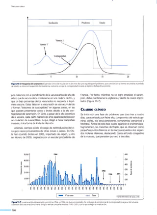 ViROLOGÍA ClÍNICA
Incubación Pródromo Estado
Viremia 2"
Viremia 1" ···········-...
....................................
1 1 1
5 10 20
Figura 15-6.Patogenia del sarampión.El período clínico de incubación es de once días yes seguido por el pródromo, que coincide con la viremiasecundaria; el período
de estado se iniciacon la aparición del exantema, momento en que lacontagiosidad iniciada al séptimo díabaja bruscamente.
pos maternos con el prendimiento de la vacuna antes del año de
edad, que la vacuna debe mantenerse en una cadena de frío, y
que un bajo porcentaje de los vacunados no responde a la pri-
mera vacuna. Estas fallas en la vacunación se van acumulando
y forman "bolsones de susceptibles" en algunas zonas, en las
que pueden presentarse casos o brotes debido a la alta con-
tagiosidad del sarampión. En Chile, a pesar de la alta cobertura
de la vacuna, cada cierto número de años aparecían brotes por
acumulación de susceptibles, lo que obligó a hacer campañas
masivas, única forma de limitar la infección.
Además, siempre existe el riesgo de reintroducción del vi-
rus por casos provenientes de otras zonas o países. En Chi-
le han ocurrido brotes en 2003, importado de Japón, y otro
en febrero de 2009, originado por un escolar procedente de
50.000 1964
40.000
1~
~
<1)
30.000-el
8<1)
,§ 20.000
z
10.000
o N
~ "' 00 o N
;1: "' 00
R N
~
L!')
!B !B
L!')
"' "' "' "' "~ ~ ~ ~ ~ ~ ~ ~ ~
Li§ 1 N° decasos
"' ~§3
Francia. Por tanto, mientras no se logre erradicar el saram-
pión, debe mantenerse la vigilancia y alerta de casos impor-
tados (Figura 15-7).
CuADRO cLiNICO
Se inicia con una fase de pródromo que dura tres a cuatro
días, caracterizado por fiebre alta, compromiso del estado ge-
neral, coriza, tos seca persistente, compromiso conjuntiva! y
fotofobia. Al final de esta fase puede aparecer el enantema pa-
tognomónica, las manchas de Koplik, que se observan como
pequeños puntos blancos en la mucosa opuesta a los segun-
dos molares inferiores, destacando contra el fondo congestivo
de la mucosa, que persisten por uno a tres días.
600
500
"'·g
400 <1)
:'S!
.5
300 <1)
1992
-el
"'
1
~
1996 2001 200 ~
1 1 100
o
o N
;:;!; "' 00 o N .....
"' 00
8 N
00 00 00 00
"" "" "" "" "" o
~ ~ ~ ~ ~ ~ ~ ~ ~ ~ o o
N N
Tasas J
Fuente: Ministerio de Salud, Chile.
Figura 15·7.Lavacunación antisarampión se inició en Chile en 1964 con buenos resultados. Sin embargo, lapersistenciade brotes periódicos a pesar de la buena
cobertura de lavacunación rutinaria, obligó a realizar campañas masivas (1992- 2001), con lo que se logró laerradicación.
180
 