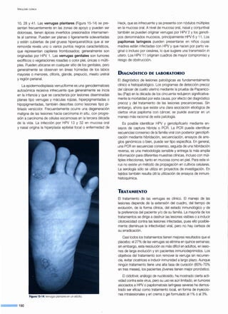 VIROLOGÍA CLÍNICA
1O, 28 y 41 . Las verrugas plantares (Figura 15-14) se pre-
sentan frecuentemente en las zonas de apoyo y pueden ser
dolorosas, tienen ápices invertidos presionados internamen-
te al caminar. Pueden ser planas o ligeramente solevantadas
y están cubiertas de piel gruesa hiperqueratótica que al ser
removida revela uno o varios puntos negros característicos,
que representan capilares trombosados; generalmente son
originadas por HPV 1. Las verrugas genitales son tumores
exofíticos o vegetaciones rosadas o color piel, únicas o múlti-
ples. Pueden ubicarse en cualquier sitio de los genitales, pero
generalmente se observan en áreas húmedas de los labios
mayores o menores, clítoris, glande, prepucio, meato uretral
y región perianal.
La epidermodisplasia verruciforme es una genodermatosis
autosómica recesiva infrecuente que generalmente se inicia
en la infancia y que se caracteriza por lesiones diseminadas
planas tipo verrugas y máculas rojizas, hiperpigmentadas o
hipopigmentadas, también descritas como lesiones tipo pi-
tiriasis versicolor. Frecuentemente ocurre una degeneración
maligna de las lesiones hacia carcinoma in situ, con progre-
sión a carcinoma de células escamosas en la tercera década
de la vida. La infección por HPV 13 y 32 en mucosa oral
y nasal origina la hiperplasia epitelial focal o enfermedad de
Figura 15-14.Verrugas plantares en un adulto.
---190
Heck, que es infrecuente y se presenta con nódulos múltiples
en la mucosa oral. A nivel de mucosa oral, nasal y conjuntiva!
también se pueden originar verrugas por HPV 2 y los genoti-
pos denominados mucosos, principalmente HPV 6 y 11 . Los
papilomas laríngeos pueden presentarse en niños cuyas
madres están infectadas con HPV y que nacen por parto va-
ginal o incluso por cesárea, lo que sugiere una transmisión in
utero. Los HPV 11 originan cuadros de mayor compromiso y
riesgo de obstrucción.
DIAGNÓSTICO DE LABORATORIO
El diagnóstico de lesiones patológicas es fundamentalmente
clínico e histopatológico. Los programas de detección precoz
del cáncer de cuello uterino mediante la prueba de Papanico-
lau (Pap) en la década de los cincuenta redujeron significativa-
mente la mortalidad por esta causa, por efecto del diagnóstico
precoz y del tratamiento de las lesiones precancerosas. Sin
embargo, ahora que existe una clara asociación etiológica de
ciertos virus papiloma con cáncer, se puede avanzar en un
manejo más racional de esta patología.
Es posible identificar HPV y genotipificarlo mediante en-
sayos de captura híbrida o PCR. La PCR puede identificar
secuencias consenso de la familia viral con posterior genotipifi-
cación mediante hibridación, secuenciación, ensayos de arre-
glos genómicos o bien, puede ser tipo específica. En general,
.una PCR en secuencias consenso, seguida de una hibridación
reversa, es una metodología sensible y entrega la más amplia
información para diferentes muestras clínicas, incluso con múl-
tiples infecciones, tanto en mucosa como en piel. Para este vi-
rus no existe un método de propagación en cultivos celulares.
La serología sólo se utiliza en proyectos de investigación. En
tejidos también resulta útil la utilización de ensayos de inmuni-
histoquímica.
TRATAMIENTO
El tratamiento de las verrugas es clínico. El manejo de las
lesiones depende de la extensión del cuadro, del tiempo de
evolución, de la forma clínica, del estado inmunológico y de
la preferencia del paciente y/o de su familia. La mayoría de los
tratamientos se dirige a destruir las lesiones visibles o a inducir
citotoxicidad contra las lesiones infectadas, pues ello posible-
mente disminuye la infectividad viral, pero no hay certeza de
su erradicación.
Casi todos los tratamientos tienen mejores resultados que el
placebo: el 27% de las verrugas se elimina en quince semanas;
sin embargo, esta resolución es más difícil en adultos, en lesio-
nes de larga evolución y en pacientes inmunodeprimidos. Los
objetivos del tratamiento son remover la verruga sin recurren-
cia, evitar cicatrices e inducir inmunidad a largo plazo. Aunque
ningún tratamiento tiene una alta tasa de curación (60%-70%
en tres meses), los pacientes jóvenes tienen mejor pronóstico.
El cidofovir, análogo de nucléosido, ha mostrado cierta acti-
vidad contra este virus, pero su uso es aún limitado; en tumores
asociados a HPV o papilomatosis laríngeas severas ha demos-
trado ser eficaz como tratamiento local, en forma de inyeccio-
nes intralesionales y en crema o gel formulado al1 % o al3%.
 
