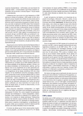 clusiones citoplasmáticas -arriñonadas y por acumulación de
partículas virales- e intranucleares, que le dan el aspecto ca-
racterístico de ojo de búho o de buey (Figura "17-9) por acopio
de nucleocápsulas.
A diferencia de lo que ocurre con otros herpesvirus, el CMV
estimula la síntesis de proteínas y ARN celular al inicio de la
infección porque requiere de la síntesis de precursores para la
replicación del genoma viral. Al mismo tiempo, evita la compe-
tencia por estos componentes bloqueando la división de la cé-
lula y, por ende, la replicación del ADN celular. Esta modulación
de las funciones celulares es ejercida por diversos productos
virales, lo que entre otras consecuencias incluye la inhibición
de la inducción de apoptosis y la alteración de la expresión
de genes celulares, que puede estar aumentada, como en el
caso de p53 yde NF-k- beta, debido a la transactivación por
el producto del gen viral MIE (IE2 p86) y por proteínas lE, res-
pectivamente, o disminuida, como en el caso de las ciclinas
(según la fase de replicación celular en que CMV la infecte) a
consecuencia de la transducción de señales desencadenada
por el contacto entre los receptores y las glicoproteínas virales,
especialmente gB.
Al igual que los otros miembros de la familia Herpesviridae, el
CMV persiste durante toda la vida del individuo. Tras adquirir el
virus en la infección primaria, el ADN viral permanece en ciertas
células, en las cuales generalmente se circulariza y se integra al
genoma celular (episoma), pero no hay producción de proteínas
ni partículas virales, estado que se denomina latencia.
No están definidos totalmente el mecanismo ni los sitios en
que ocurre este fenómeno, aunque se ha detectado ADN viral
(secuencias lE) en ausencia de antígenos en muchos órganos
(hígado, riñón, bazo, páncreas, músculo liso) de sujetos sanos.
Clásicamente se considera que el CMV establece latencia en
las células epiteliales de las glándulas salivales y riñones y en
las células endoteliales; se ha demostrado, además, que hay
latencia viral en los progenitores de la serie granulocito-ma-
crófago en la médula ósea, en monocitos de sangre periférica
y en progenitoras de las células dendríticas (CD) de la línea
mieloide. Se han identificado transcritos asociados a latencia
(LAT), aunque sólo el marco de lectura abierta (ORF) UL"138 es
requerido para este proceso. Se han descrito otras dos clases
de transcritos -sense y antisense CLT- que se originan de
la región del majar immediate-early (MIE) del genoma viral y
aunque se han detectado anticuerpos anti marcos de lectura
abierto codificados por estos transcritos en el suero de da-
dores de sangre sanos, su función es desconocida y no son
esenciales para la latencia.
Otros transcritos detectados corresponden a la región
UL"111.5A y US28, que actúan como homólogo funcional de la
interleuquina-"1 O (cmvllc-"1 O) y como receptor de quimioquina,
activador de la fosfolipasa C, o factor proapoptótico, respec-
tivamente. Estos transcritos se detectan en la infección pro-
ductiva y en la latencia en células permisivas. Publicaciones
recientes han descrito nuevas proteínas de latencia, como la
proteína antisense UL8"1-82, expresada en donantes seropo-
sitivos sanos y ausente en seronegativos. La identificación de
los genes virales que se expresan durante la latencia permite
detectar a las células infectadas incluso en esta fase.
El número de células que en forma natural portan el geno-
ma viral es pequeño, y se estima en una de "1 04
a 105
células
C APÍTULO 17 - VIRUS HERPES
mononucleares de sangre periférica (PMBC) o de la médula
ósea, cifra que aumenta con la proliferación de las células he-
matopoyéticas de la línea mieloide que portan al CMV latente.
En cada célula infectada se detectan dos a trece copias del
genoma viral.
A partir del genoma viral latente y en situaciones de su-
presión inmunológica, inflamación, infección y estrés, el virus
puede volver a replicar y producir nuevas partículas virales, en
el proceso denominado reactivación. Se desconocen los fac-
tores virales y de la célula que regulan el paso entre infección
lítica y latente, aunque de acuerdo a lo observado en la con-
versión de las células hematopoyéticas de la línea mieloide a
macrófagos y en la maduración de las células dendríticas (CD)
progenitoras de esta línea, la diferenciación celular y en parti-
cular el remodelamiento de la cromatina, serían cruciales. Las
células precursoras actúan como reservorio del CMV y trans-
miten el genoma viral a los monocitos de sangre periférica y en
ellos permanece latente sin expresión de genes líticos hasta
que abandonan la circulación y se diferencian a macrófagos de
acuerdo al tejido.
Como la reactivación de CMV requiere de la activación del
promotor viral MIE, y este es regulado positivamente por pros-
taglandinas (mediante la vía del AMP cíclico), TNF- a, IL-"1 ~.
IL-6 e IL- "1 O producidos por macrófagos activados, la infla-
mación sería un factor desencadenante de la reactivación de
este virus. En este proceso, TNF-a sería un mediador clave,
pues se une al receptor celular específico de las células con
infección latente y activa la proteína quinasa e y NF- K~ y la
transcripción de los genes lE de CMV, desencadenando la re-
plicación viral y creando una retroalimentación positiva porque,
a su vez, la expresión del gen lE induce la liberación de TNF-a.
Esto explica la correlación entre los niveles plasmáticos de esta
citoquina y la detección de antígenos virales en trasplantes de
órganos sólidos y enfermedades autoinmunes y el riesgo de
enfermedad y muerte por este virus. Además, el propio CMV
participa en la inflamación aumentando la síntesis de IL-6 me-
diante los productos génicos IEM.
Otro factor de riesgo para la reactivación de este virus es la
disminución de los linfocitos T citotóxicos (LTC) específicos, co-
mo se demuestra en la alta incidencia de reactivación temprana
de CMV en pacientes tratados con anticuerpos antilinfocitarios
y en la recurrencia viral en quienes no generan esta respuesta
celular frente al virus. Los LCT CDS vigilan constantemente la
reactivación viral mediante el reconocimiento del péptido IEI,
cuya presencia indica que el gen MIE se está expresando, lo
que les permite controlar precozmente la replicación viral. Por
eso, la monitorización de estos linfocitos específicos anti-CMV
podría ser una herramienta útil en la vigilancia del riesgo de
infección o enfermedad recurrente.
CMVy cáncer
Se plantea que el CMV participa en el cáncer por evidencias
seroepidemiológicas y experimentales como la detención por
proteínas virales del ciclo y la replicación del ADN celular en
células permisivas normales, por la capacidad in vitro de trans-
formar células, por la detección de ADN viral, ARN mensajero
y/o antígenos en tejidos tumorales, y por la identificación en
su genoma de regiones que podrían corresponder a protoon-
cogenes, denominadas transformadoras morfológicamente
225
 