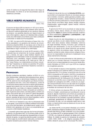 carnet. El cidofovir es de segunda línea dado el alto riesgo de
nefrotoxicidad. A la fecha no se han documentado casos de
resistencia a antivirales.
VIRUS HERPES HUMANO 8
Celeste L. Pérez
El sarcoma de Kaposi (SK) fue descrito en 1872 por el derma-
tólogo húngaro Moritz Kaposi, quien presentó varios casos de
un sarcoma multifocal pigmentado en los miembros inferiores
de ancianos. Los pacientes descritos por Kaposi tuvieron un
curso clínico agresivo y algunos con desenlace fatal; probable-
mente otra enfermedad concomitante pudo haber contribuido
a profundizar un estado de inmunosupresión.
En 1981, los casos de SK informados en Nueva York y Ca-
lifornia precedieron a la pandemia del síndrome de inmuno-
deficiencia adquirida (SIDA). En esa época casi la mitad de la
población homosexual masculina con SIDA presentaba SK o lo
desarrollaba en algún momento de su enfermedad.
La singular distribución en la piel del SK asociado a SIDA,
la elevada tasa de compromiso de mucosas, ganglios linfá-
ticos y vísceras, dio lugar a varias hipótesis respecto de la
patogénesis de la enfermedad. Si bien se propusieron agentes
infecciosos como candidatos, ninguno mostraba evidencia
convincente de estarasociado al SK, hasta que en 1994, la
Dra. Yuang Chang y sus colaboradores encontraron secuen-
cias "tipo" herpesvirus en lesiones de pacientes VIH positivo
con SK. Este virus fue denominado herpesvirus asociado a
sarcoma de Kaposi (KSHV).
PROPIEDADES
Estudios posteriores permitieron clasificar al KSHV en la fa-
milia Herpesvírídae, subfamilia Gammaherpesvírínae, género
Thadínovírus, y pasó a denominarse herpesvirus humano 8
(HHV-8), siendo el único de este género que infecta al hombre.
La arquitectura del virión, como otros herpesvirus, consta de
una envoltura externa lipídica donde se insertan glicoproteínas,
seguida hacia adentro por una zona amorfa proteica denomi-
nada tegumento, que rodea a la cápsula icosaédrica, dentro
de la cual se encuentra el núcleo compuesto por proteínas y
ADN. El genoma viral es linear y de doble cadena; contiene una
región única de165 kpb con al menos 87 genes flanqueados
por dos terminales repetitivos. Posee varias secuencias que
parecen captadas del genoma de la célula hospedera; a estos
genes se los conoce como "genes pirateados".
El HHV-8 es el herpesvirus que más ha almacenado este
tipo de genes, cuya función es codificar proteínas involucradas
en el control del crecimiento, de la diferenciación celular y de la
inhibición de la apoptosis, por lo que no es sorprendente que
se asocie a enfermedades neoplásicas.
La expresión génica tiene lugar bajo dos formas principales:
la latencia y el crecimiento lítico. En la primera puede ocurrir la
replicación del ADN circular episomal, expresándose un número
reducido de genes. Los genomas latentes pueden convertirse
en líticos luego de una estimulación adecuada y se transcriben
los genes necesarios para producir viriones infectivos.
C APÍTULO 17 - VIRUS HERPES
PATOGENIA
El reservorio natural del virus son los linfocitos 8 CD19+, aun-
que también se ha reportado infección en otros tipos celulares,
como endotelio, monocitos, epitelio glandular prostático, célu-
las ganglionares dorsales y células fusiformes perivasculares.
La infección primaria puede abarcar un amplio espectro de sín-
tomas clínicos como fiebre, fatiga, diarrea, artralgia, citopenia,
linfadenopatías, esplenomegalia, aplasia medular, síndrome
hemofagocítico y SK.
El genoma de HHV-8 se ha encontrado en todas las lesio-
nes (placa, mácula, pápula, nódulo) y en todas las formas clí-
nicas del SK: clásico en adultos de edad avanzada, endémico
en África subsahariana, iatrogénico o postrasplante, y epi-
démico o asociado al SIDA.
Desde el punto de vista histopatológico es una neoplasia
vascular que afecta a la piel y tejidos blandos en que se iden-
tifican varios tipos celulares: células endoteliales, fusiformes
(de origen endotelial), linfocitos, monocitos y gran cantidad de
glóbulos rojos extravasados. El virus se encuentra en forma
latente en la mayoría de las células fusiformes que expresan
un repertorio mínimo de proteínas virales, mientras que una
pequeña cantidad de estas células produce antígenos líticos,
que son los responsables de estimular la multiplicación de las
células latentemente infectadas.
Si bien la clínica de esta enfermedad es más parecida a un
cáncer que a un proceso infeccioso, la mantención y progre-
sión del tumor es responsabilidad de unas pocas células lítica-
mente infectadas con HHV-8, por lo que el SK es un ejemplo
de oncogénesis paracrina.
El virus también se asocia a otras neoplasias, como la enfer-
medad multicéntrica de Castleman (EMC) y el linfoma primario
de efusiones (PEL). En la primera, la asociación del virus es del
100% si el paciente es VIH positivo y del 50% si el paciente es
inmunocompetente. La patogénesis de la EMC se vincula a
una sobreproducción de interleuquina 6 (IL-6) celular. El HHV8
produce en su ciclo lítico una IL-6 viral similar a la humana, res-
ponsable de la patogenia de la EMC, a través de una expan-
sión clonal de linfocitos B de la zona del manto de los ganglios
linfáticos. Para la variante asociada al HHV-8, la enfermedad es
el resultado de la activación del ciclo lítico.
El linfoma primario de efusiones (PEL) es un tipo raro de
linfoma no Hodgkin, caracterizado por la proliferación clonal de
células B, descrito inicialmente como linfoma de cavidades de
células B (BCBL). La presentación clínica es súbita, con gran-
des efusiones en las cavidades corporales (pericárdica, pleural
y peritoneal), generalmente sin infiltrado en órganos sólidos.
El pronóstico es malo, con una sobrevida media menor a seis
meses. La mayoría de las veces se observa en el curso de una
coinfección con VIH.
Las células del PEL se encuentran infectadas con el HHV-8
latente, expresando antígenos de latencia como el LANA Gene-
ralmente este linfoma se halla coinfectado con el virus Epstein-
Barr. Las células del PELen general expresan CD45 y Sindecam
1 (CD138), una molécula de adhesión de células pre-B y plas-
máticas. Es notable la ausencia de marcadores de activación
-CD23, CD25, CD38- o de antígenos asociados (CD1 9 y
CD20) a células B, aunque se han comunicado PEL CD20+.
237 ..._____
 