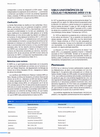 ViROLOGÍA ClÍNICA
corresponden a zonas de integración al ADN celular -etapa
indispensable en la replicación de los retrovirus-, y promotoras
y enhencers que facilitan la función de proteínas reguladoras
virales y celulares. El ARN que deriva del provirus tiene una cola
de poli A en el extremo 3', al igual que los ARNm.
Clasificación
La familia Retroviridae se clasifica en tres subfamilias: Onco-
virinae, que incluye virus con potencial oncogénico; Lentiviri-
nae, que comprende al VIHy HTLV, y Spumavirinae, virus cuya
asociación a enfermedades no ha sido aún establecida. Una
nueva clasificación ha establecido siete géneros en la familia
Retroviridae, en cinco de los cuales hay relación con detección
en humanos. En ellos destacan los lentivirus VIH-1 y VIH-2 y los
virus linfotrópicos HTLV 1 y 2 (deltaretrovirus) como asociados
a enfermedades en humanos. Los spumavirus de simios se han
detectado en individuos con contacto frecuente con monos en
India; no se transmiten entre humanos y no hay una enfermedad
asociada a ellos. Se han descrito retrovirus endógenos huma-
nos (HERV) que corresponden a "fósiles" en los cromosomas
humanos de infecciones ancestrales por retrovirus. Aproxima-
damente el 8% de las secuencias del ADN humano deriva de
inserciones de HERV y corresponde mayoritariamente a inser-
ciones de beta y gammaretrovirus (Tabla 18-1).
Retrovirus como vectores.
El XMRV es un gammaretrovirus relacionado con la leucemia
en ratas que fue identificado por primera vez en humanos en
2007 por Robert Silverman, del departamento de Biología de
Cáncer de la Clínica Cleveland, EE.UU., trabajando en tejidos
de cáncer de próstata.
Los científicos del Whittemore Peterson lnstitute (WPI) en
Reno, Nevada, la Clínica de Cleveland y el Instituto Nacional del
Cáncer de los EE.UU., detectaron el ADN del retrovirus XMRV
en células sanguíneas de 68 de 101 pacientes (67%) de sín-
drome de fatiga crónica (SFC), en comparación con 8 de los
218 controles sanos (3,7%). En este primer estudio buscaron el
ADN sólo en el núcleo de la célula, pero en pruebas posteriores,
buscando también en el plasma, el porcentaje subió al98% en
las personas con síndrome de fatiga crónica, sin que hubiera
modific~ción en los controles sanos. De esta forma, comproba-
ron que el XMRV está prácticamente en todos los SFC.
Tabla 18-1. Géneros de la familia Retroviridae que afectan avertebrados
Género Especie de retrovirus
Alfaretrovirus Sarcoma de Rous
Leucemia aviar
Betaretrovirus Retrovirus simio tipo 1
Tumor mamario del ratón
Gammaretrovirus Leucemia murina
Virus de leucemia felina
Oeltaretrovirus Leucemia humana (HTLV)
Epsilonretrovirus Sarcomas de piel de peces
Lentivirus VIH-1, VIH-2, SIV
Spumavirus Foamy virus del chimpancé
242
VIRUS LINFOTRÓPICOS DE
CÉLULAS T HUMANAS (HTLV 1Y 11)
Eugenio Ramírez
En 1977 se describió por primera vez la leucemia de células Ten
el adulto (ATL) en Japón. En 1980 se informó la asociación entre
la infección con retrovirus y cáncer humano en un paciente con
linfoma cutáneo de células T. Luego, en 1981 se aisló en Japón
el ATLV (virus linfotrópico de células T asociado al ATL), a partir
de células de un paciente con ATL, posteriormente denominado
virus linfotrópico de las células T humanas tipo 1(HTLV-1).
En 1978 se determinó la presencia de un retrovirus a par-
tir de cultivos de linfocitos T de un paciente con leucemia de
células peludas. Luego, en 1982 este virus fue denominado
HTLV-2. Desde entonces el HTLV-11 ha sido pesquisado en
múltiples poblaciones. Aunque se ha detectado en pacientes
con neuropatías, no se dispone de evidencias que permitan
asociarlo con alguna patología específica.
La infección con HTLV-1 causa la leucemia de células T del
adulto (ATL) y la paraparesia espástica tropical o mielopatía
asociada al HTLV-1 (TSP/HAM). También se ha asociado con
síndrome de Sjógren, polimiositis, broncoalveolitis, tiroiditis, po-
liartritis y uveítis. La infección con HTLV-1 se transmite vía sexual,
transfusional, transplacentaria o por el amamantamiento.
PROPIEDADES
El HTLV-1 es un retrovirus humano perteneciente al género de
los Oeltaretrovirus, es decir, a virus complejos con una mor-
fología tipo C. Su genoma está compuesto por un dímero de
hebras simples lineales de ARN positivo de aproximadamente
1Okb, que codifica las proteínas estructurales y enzimáticas de
los genes poi, gag, env y las proteínas regulatorias tax y rex. Las
dos regiones terminales largas repetidas (LTR) localizadas en los
extremos 5'y 3' del provirus contienen el promotor viral y otros
elementos regulatorios. El HTLV-1 tiene una complejidad mayor
debido al procesamiento alternativo de los ARNm en la región
pX, que contiene al menos cuatro marcos de lectura abiertos, y
posiblemente por la acción de un promotor interno.
Las proteínas regulatorias tax (transactivador viral _de la ex-
presión) y rex (regulador postranscripcional de la expresión vi-
Estructura viral
Núcleo central esférico: tipo e
Núcleo central perifériCCD:tipo B
Núcleo tipo e
Núcleo tipo e
Núcleo tipo e
Núcleo coniforme
Núcleo tipo e
 
