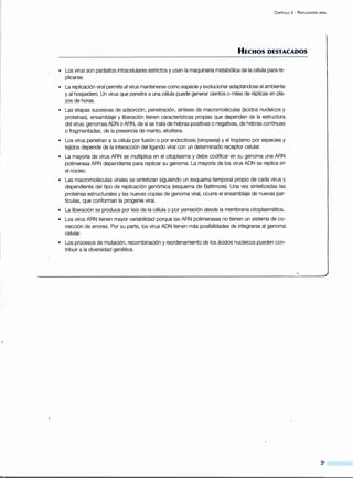 C APÍTULO 3 - REPLICACIÓN VIRAL
HECHOS DESTACADOS
• Los virus son parásitos intracelulares estrictos y usan la maquinaria metabólica de la célula para re-
plicarse.
• La replicación viral permite a:l virus mantenerse como especie y evolucionar adaptándose al ambiente
y al hospedero. Un virus que penetra a una célula puede generar cientos o miles de réplicas en pla-
zos de horas.
• Las etapas sucesivas de adsorción, penetración, síntesis de macromoléculas (ácidos nucleicos y
proteínas), ensamblaje y liberación tienen características propias que dependen de la estructura
del virus: genomas ADN o ARN, de si se trata de hebras positivas o negativas, de hebras continuas
o fragmentadas, de la presencia de manto, etcétera.
• Los virus penetran a la célula por fusión o por endocitosis (viropexia) y el tropismo por especies y
tejidos depende de la interacción del ligando viral con un determinado receptor celular.
• La mayoría de virus ARN se multiplica en el citoplasma y debe codificar en su genoma una ARN
polimerasa ARN dependiente para replicar su genoma. La mayoría de los virus ADN se replica en
el núcleo.
• Las macromoléculas virales se sintetizan siguiendo un esquema temporal propio de cada virus y
dependiente del tipo de replicación genómica (esquema de Baltimore). Una vez sintetizadas las
proteínas estructurales y las nuevas copias de genoma viral, ocurre el ensamblaje de nuevas par-
tículas, que conforman la progenie viral.
• La liberación se produce por lisis de la célula o por yemación desde la membrana citoplasmática.
• Los virus ARN tienen mayor variabilidad porque las ARN polimerasas no tienen un sistema de co-
rrección de errores. Por su parte, los virus ADN tienen más posibilidades de integrarse al genoma
celular.
• Los procesos de mutación, recombinación y reordenamiento de los ácidos nucleicos pueden con-
tribuir a la diversidad genética.
37
 