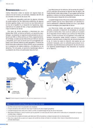 V IROLOGÍA CLÍNICA
EPIDEMIOLOGÍA (FIGURA 6-1)
Ciertas infecciones virales se asocian con algunos tipos de
cáncer en el ser humano y en animales. Alrededor del 20% de
los cánceres humanos es de causa viral.
La distribución geográfica particular de algunos cánceres
se puede explicar por las infecciones endémicas de algunos
de estos agentes virales, como ocurre con las infecciones por
el virus de la hepatitis B y el desarrollo de hepatomas, espe-
cialmente en el sudeste de Asia: a mayor prevalencia de HBV,
mayor incidencia de cáncer.
Dos tipos de cáncer asociados a infecciones por virus
Epstein-Barr (VEB) -el linfoma de Burkitt y el carcinoma naso-
faríngeo- se presentan en regiones de alta prevalencia de la in-
fección por VEB, en África central y en China, respectivamente.
Sin embargo, se sabe que las infecciones por VEB son ubicuas
y frecuentes, por lo que se asume que en la oncogénesis par-
ticipan otros factores relativos al área geográfica. Ellinfoma de
Burkitt tiene alta incidencia en África central, que se caracteriza
por la presencia de malaria endémica y de aflatoxina en los
alimentos. Por otra parte, el carcinoma nasofaríngeo afecta a
la población de chinos con particulares tipos de HLA.
Tasas de portadores
de hepatitis B (%)
- 0,5
~1-2
c=J 3-5
c=J 6-10
Incidencia alta
de cáncer hepático
Figura 6-1. Epidemiología de la hepatitis By del carcinoma hepatocelular en el mundo.
Tabla 6-2. Evidencias epidemiológicas que relacionan virus con cáncer
• Las infecciones por estos virus preceden a las neoplasias
Las infecciones por los retrovirus de leucemias de células T
(HTLV) y este tipo de leucemias en algunas islas de Japón y del
Caribe también están relacionadas, lo que sugiere que factores
genéticos o étnicos de dichas poblaciones humanas son de-
terminantes para el desarrollo de la enfermedad.
La epidemiología de las infecciones virales relacionadas con
cáncer muestra que los virus relacionados con cánceres hu-
manos pertenecen a diferentes familias de virus y que utilizan
diversas estrategias para desarrollar el cáncer.
Las infecciones virales, que suelen ser crónicas y/o per-
sistentes, preceden al desarrollo de neoplasias en períodos
de veinte a treinta años. Esto ocurre en parte por la evasión
de la respuesta inmune habitual que controla las infecciones
virales. Durante el proceso de oncogénesis viral pueden de-
tectarse marcadores virales (ácidos nucleicos o proteínas)
durante el período previo al desarrollo del cáncer propiamen-
te tal. En todos los casos la infección viral parece ser una
condición necesaria, pero no suficiente para producir la en-
fermedad, requiriéndose de la participación de otros factores.
Los aspectos epidemiológicos más relevantes se muestran
en la Tabla 6-2.
•
• A mayor prevalencia de la infección viral, mayor incidencia de cáncer (región geográfica)
• La epidemiología de estas infecciones virales es similar a la epidemiología del tipo de cáncer relacionado
• Marcadores (serológicos u otros) muestran que los pacientes con estos tipos de cáncer suelen tener niveles altos en comparación con grupos ·
controles (bajo o negativo) .
• En las células de los tejidos tumorales suele detectarse ADN y/o proteínaso antígenos propios del virus (biomarcador)
• Estosvirus o algunos de sus genes son capaces de transformar células normales en tumorales o bien inducir el desarrollo de tumores en
animales (bioensayos)
--60
 