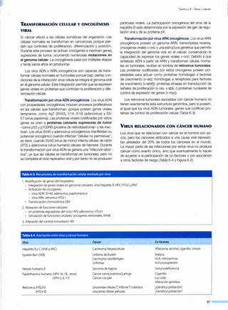 TRANSFORMACIÓN CELULAR Y ONCOGÉNESIS
VIRAL
El cáncer afecta a las células somáticas del organismo. Las
células normales se transforman en cancerosas porque pier-
den sus controles de proliferación, diferenciación y posición.
Durante este proceso se activan oncogenes e inactivan genes.
supresores de tumor, ocurriendo numerosas mutaciones en
el genoma celular. La oncogénesis pasa por múltiples etapas
y tarda varios años en producirse.
Los virus ADN o ARN oncogénicos son capaces de trans-
formar células normales en tumorales porque bajo ciertas con-
diciones de la interacción virus-célula se integra el genoma viral
en el genoma celular. Esta integración permite que se expresen
genes virales en proteínas que controlan la proliferación y dife-
renciación celular.
Transformación por virus ADN oncogénicos. Los virus ADN
con propiedades oncogénicas inducen procesos proliferativos
en las células que transforman, porque poseen genes virales
tempranos, como AgT (SV40), E1A /E1 B (adenovirus) y E6/
E7 (virus papiloma). Las proteínas virales codificadas por estos
genes se unen a proteínas celulares supresoras de tumor
-como p53 y p1 05RB (proteína de retinoblastoma)- y las inac-
tivan. Los virus SV40 y adenovirus oncogénicos manifiestan su
potencial oncogénico cuando infectan "células no permisivas",
es decir, cuando SV40 (virus de mono) infecta células de ratón
(3T3) y adenovirus (virus humano) células de hámster. Durante
la transformación por virus ADN se genera una "infección abor-
tiva", ya que las células se transforman en tumorales, pero no
se completa el ciclo replicativo viral y por tanto no se producen
Tabla 6-3. Mecanismos de transformación celular mediada por virus
1. Modificación de genes del hospedero:
CAPÍTULO 6 - V IRUS y CÁNCER
partículas virales. La participación oncogénica del virus de la
hepatitis B está determinada por la expresión del gen de regu-
lación viral y de su proteína pX.
Transformación por virus ARN oncogénicos. Los virus ARN
oncogénicos poseen un genoma ARN, transcriptasa reversa,
oncogenes virales v-onc y una estructura genética que permite
la integración del genoma viral en el celular, conservando la
capacidad de expresar los genes virales v-onc. Debido a que
sintetizan ADN a partir de ARN y transforman células norma-
les en tumorales, reciben el nombre de retrovirus tumorales.
Las proteínas codificadas por estos oncogenes poseen pro-
piedades para actuar como proteínas homólogas a factores
de crecimiento (v-sis); homólogas a receptores para factores
de crecimiento (v-erbB); proteínas kinasas en transducción de
señales de proliferación (v-ras, v-abl), o proteínas nucleares de
control de expresión de genes (v-myc).
Los retrovirus tumorales asociados con cáncer humano no
tienen exactamente esta estructura genómica, pero sí poseen,
al igual que los virus ADN tumorales, genes que codifican pro-
teínas de control de proliferación celular (Tabla 6-3).
VIRUS RELACIONADOS CON CÁNCER HUMANO
Los virus que se _relacionan con cáncer en el hombre son po-
cos, pero los cánceres atribuidos a una causa viral represen-
tan alrededor del 20% de todos los cánceres en el mundo.
La mayor parte de las infecciones por estos virus no produce
cáncer como evento único, sino que eventualmente lo hacen
de acuerdo a la participación de ca-factores o por asociación
a otros factores de riesgo (Tabla 6-4 y Figura 6-2).
Integración de genes virales en genomascelulares:virus hepatitis B, HPV, HTLV-1 ¿VIH?
• Activación de oncogenes:
- virus ADN:SV-40,adenovirus, papilomavirus
- virusARN: retrovirusHTLV1
Translocación cromosómica: EBV
2. Alteración defunciones celulares
• en proteínas reguladoras del ciclo: HPV, adenovirus, HTLV-1
• Simulación defunciones celulares: oncogenesretrovirales, VHH8
3. Alteración del control inmunitario: HIV
Tabla 6-4. Asociación entre virus y cáncer humano
Virus
Hepatitis By C(VHByVHC)
Epstein-Barr (VEB)
Herpeshumano 8
Papilornavirushumano (VPH 16, 18, otros)
(VPH 5,8, 17)
Retrovirus (HTLV-1)
(HTLV-11)
Cáncer
Carcinoma hepatocelular
Linfoma de Burkitt
Carcinomanasofaríngeo
Linfomas
Sarcomade Kaposi
Cáncer cervicouterino/Laringe
Cáncer a lapiel
Leucemias célulasT, linfoma Tcutáneos
Leucemiacélulas peludas
Ca-factores
Aflatoxina, alcohol, cigarrillo, cirrosis
Malaria
HLA, nitrosaminas
lnmunosupresión
lnmunodeficiencia
Cigarrillo
Luz solar
Alteración genética
¿Genéticapoblación?
¿Genéticapoblación?
61
 