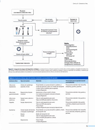 PACIENTE
CON PRESUNTA INFECCIÓN VIRAL
___________J__________-Toma de muestra
Materiales m . L
~
Transporte muestra
Verificación de condiciones
de transporte
----------- ------------- -- --------------
Muestra de buena calidad
J
LABORATORIO VIROLOGÍA
··-··J
Sitio de lesión
Virus sospechado
Bioseguridad al personal"todas
las muestras son potencialmente
infecciosas"
- ... ----
'
Técnicas de diagnóstico
' virológico
l
.....,
'
C APÍTULO 8 - DIAGNÓSTICO VIRAL
1 INFORMEDE
l RESULTADO
' - - . - - - '
Rápidas
Inmunodiagnóstico
Inmunofluorescencia
ELISA
Inmunocromatografía
Wester Blot
Ácidos nucleicos
ADN-ARN
PCR tiempo real
Clásicas
Cultivos virales
Microscopia electrónica
Serología: ELISA, inhibición de
hemaglutinación, neutralización
Figura 8-1. Integración de etapas del diagnóstico virológico. La recolección de una "buena muestra" no se limita sólo a la forma aséptica y amigable de tomarla, sino
que también incluye las decisiones previas sobre por qué, dónde y cuándo se realiza; cómo y adónde se trasladay cuándo se obtendrán losresultadosy mediante qué
técnicas. Estas alternativas deben ser acordadas en una comunicación personal entre los clínicos y los técnicos del laboratorio.
Tabla 8-2.Síndromes clínicos, tipos de muestras, materiales y precauciones del operador
Síndrome clínico
Infecciones
respiratorias
Infecciones
gastrointestinales
Infecciones
sistémicas
Hepatitis
Exantemas
Tipos de muestras
Células de nasofaringe
(aspirado, tórula)
Deposiciones, biopsia
intestinal
Sangre (suero, plasma o
células)
Sangre,deposiciones
Células basales de lesiones
o hisopado nasofaríngeo
Biopsia
Sangre
Deposiciones
Materiales
Tórula flexible con punta de dacrón o plástico, o
sonda de aspiración,tubos con medio de transporte
o tubos cónicos estériles para el aspirado
Unidad refrigerante
Idealmente un frasco estéril o limpio
Con medio de transporte viral para la biopsia
Unidad refrigerante
Tubo sin anticoagulante para suero
Tubo con EDTA para plasma o leucocitos
Tubo sin anticoagulante para suero
Tubo con EDTA para plasma
Frasco limpio
Unidad refrigerante para transporte deposiciones
Tórula flexible con punta de dacrón o plástico, medio
de transporte viral
Medio de transporte viral
Tubo sin anticoagulante para suero
Tubo con EDTA para plasma o células
Frasco limpio
Unidad refrigerante
Precauciones para eloperadordurante
elprocedimiento
Precauciones estándar más mascarilla,
antiparras, guantes y pechera
Precauciones estándar más guantes y
pechera
Precauciones estándar más guantes y
antiparras
Precauciones estándar más guantes
y pechera, antiparras para lapunción
venosa
Precauciones estándar más mascarilla
(si son vesículas), antiparras, guantes y
pechera
79
 