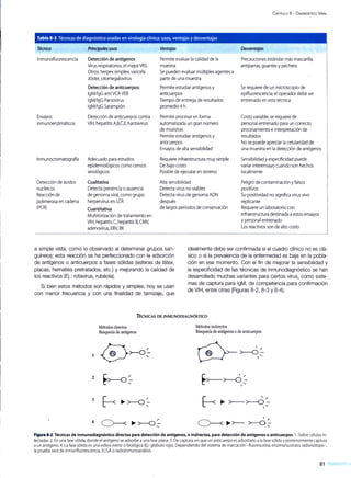 CAPÍTULO 8 - DIAGNÓSTICO VIRAL
Tabla 8-3.Técnicas de diagnóstico usadas en virología clínica: usos, ventajas y desventajas
Técnica
1nmunofluorescencia
Ensayos
inmunoenzimáticos
lnmunocromatografía
Detección de ácidos
nucleicos
Reacción de
polimerasa en cadena
(PCR)
Principales usos
Detección de antígenos
Virus respiratorios, el mejorVRS.
Otros: herpes simplex, varicela
zóster, citomegalovirus
Detección de anticuerpos:
lgM/IgG anti VCA VEB
lgM/IgG Parvovirus
lgM/IgG Sarampión
Detección de anticuerpos contra
VIH, hepatitis A,B,C,E, hantavirus
Adecuado para estudios
epidemiológicos como censos
serológicos
Cualitativa
Detecta presencia o ausencia
de genoma viral, como grupo
herpervirus en LCR
Cuantitativa
Monitorización de tratamiento en
VIH, hepatitis C, hepatitis B, CMV,
adenovirus, EBV, BK
Ventajas
Permite evaluar la calidad de la
muestra
Se pueden evaluar múltiples agentes a
partir de una muestra
Permite estudiar antígenos y
anticuerpos
Tiempo de entrega de resultados
promedio4 h
Permite procesar en forma
automatizada un gran número
de muestras
Permite estudiar antígenos y
anticuerpos
Ensayos de alta sensibilidad
Requiere infraestructura muy simple
De bajo costo
Posible de ejecutar en terreno
Alta sensibilidad
Detecta virus no viables
Detecta virus de genoma ADN
después
de largos períodos de conservación
Desventajas
Precauciones estándar más mascarilla,
antiparras, guantes y pechera
Se requiere de un microscopio de
epifluorescencia; el operador debe ser
entrenado en esta técnica
Costo variable, se requiere de
personal entrenado para un correcto
procesamiento einterpretación de
resultados
No se puede apreciar la celularidad de
una muestra en la detección de antígenos
Sensibilidad y especificidad puede
variar interensayo cuando son hechos
localmente
Peligro de contaminación y falsos
positivos
Su positividad no significa virus vivo
replicante
Requiere un laboratorio con
infraestructura destinada aestos ensayos
y personal entrenado -
Los reactivos son de alto costo
a simple vista, como lo observado al determinar grupos san-
guíneos; esta reacción se ha perfeccionado con la adsorción
de antígenos o anticuerpos a fases sólidas (esferas de látex,
placas, hematíes pretratados, etc.) y mejorando la calidad de
los reactivos (Ej.: rotavirus, rubéola).
idealmente debe ser confirmada si el cuadro clínico no es clá-
sico o si la prevalencia de la enfermedad es baja en la pobla-
ción en ese momento. Con el fin de mejorar la sensibilidad y
la especificidad de las técnicas de inmunodiagnóstico se han
desarrollado muchas variantes para ciertos virus, como siste-
mas de captura para lgM, de competencia para confirmación
de VIH, entre otras (Figuras 8-2, 8-3 y 8-4).
Si bien estos métodos son rápidos y simples, hoy se usan
con menor frecuencia y con una finalidad de tamizaje, que
TÉCNICAS DE INMUNODIAGNÓSTICO
1
2
3
Métodos directos
Búsqueda de antígenos
4 C)---< .... >-O ~
'
Métodos indirectos
Búsqueda de antígenos ode anticuerpos
( 1 /
~>-- >--0 :::
r ~ 1 /
~ .... >-->--0:::

1 /
C)---< .... >--- >--O:::
Figura 8-2. Técnicas de inmunodiagnóstico directas para detección de antígenos, e indirectas, para detección de antígenos o anticuerpos. 1.Sobre células in-
fectadas. 2. En una fase sólida, donde el antígeno se adsorbe a una fase plana. 3. De captura, en que un anticuerpo es adsorbido a la fase sólida yposteriormente captura
a un antígeno. 4. La fase sólida es una esfera inerte o biológica (Ej.:glóbulo rojo). Dependiendo del sistema de marcación -fluoresceína, enzima/sustrato, radioisótopo-,
la prueba será de inmunfluorescencia, ELISA o radioinmunoanálisis.
81
 