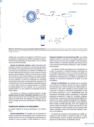 42nm
HBsAg
HBcAg
ADN
HBeAg
polimerasa
genHBsAg
0 0
o O
o
o
C APÍTULO 10 -VACUNAS VIRALES
vector plasmidial
Figura 10-1. Desarrollo de vacuna por tecnología de ADN recombinante. (1) Del virus hepatitis Bse extrae el gen que codifica el antígeno de superficie (HBsAg)
(2), que se insertaen un vector plasmidial (3) que se transfecta en una levadura (4) que produce abundante proteína (HBsAg), que se purifica y(S) se usa para la pro-
ducción de la vacuna.
codifica para una proteína inmunogénica. El ADN de la vacuna
es traducido a proteína por las células musculares y esta pro-
teína estimula la respuesta inmune protectora. Aún no existen
vacunas de ADN licenciadas.
Vacunas de partículas similares a virus. Elaboradas artifi-
cialmente, incluyen a los virosomas y a las vacunas de partícu-
las similares a virus propiamente tal (virus like particles o VLP).
Los virosomas son partículas que contienen un fosfolípido que
en forma natural toma la forma de un virus circular en el cual se
insertan ciertos antígenos. Existe una vacuna contra la hepa-
titis A virosomal y una contra la influenza. Las nuevas vacunas
contra el virus papiloma humano consisten en VLP compues-
tas de la proteína L1 de este virus elaborada con tecnología
recombinante (producida en Saccaromyces cerevisae o en
un baculovirus), la cual se autoensambla en partículas similares
a un virus. Estas vacunas son seguras porque no contienen
el material genético del virus; además, por su conformación
espacial similar a un virus, generan una respuesta inmune de
buena calidad.
Las vacunas no infectivas en general producen una res-
puesta inmune de menor intensidad y duración que la obte-
nida con las vacunas de virus vivo atenuado, por lo que suelen
requerir de varias dosis. Sin embargo, son seguras pues ca-
recen del riesgo de provocar enfermedad en el sujeto que las
recibe.
Clasificación sanitaria o de salud pública
Se pueden clasificar en vacunas sistemáticas y no sistemá-
ticas.
Vacunas sistemáticas. Son aquellas que se administran a
todos los individuos en forma gratuita, como resultado de una
política nacional. Con el fin de implementar vacunaciones uni-
versales en todos los países, la OMS estableció en 1974 el
Programa Ampliado de Inmunizaciones (PAI), que entrega
asistencia técnica y económica a los distintos países con la
meta de que las vacunas sean accesibles a toda la población
infantil, mediante un calendario específico que incluye vacunas
contra diversas enfermedades bacterianas y virales considera-
das prioritarias.
Los objetivos iniciales del programa eran la erradicación de
la polio, el sarampión y el tétanos neonatal, la-eliminación de
la meningitis tuberculosa en niños y el control de la difteria y el
coqueluche. Posteriormente se agregaron las vacunas contra
Haemophilus inf/uenzae tipo b, la rubéola y la hepatitis B; sin
embargo, su incorporación progresiva en la región no ha sido
homogénea.
Vacunas no sistemáticas. Son aquellas que no se aplican
como parte de un programa nacional, sino que su indicación
está enfocada sólo a ciertos individuos por determinadas ca-
racterísticas o bien, están indicadas en -forma universal, pero
el país aún no decide su incorporación programática, ya sea
por motivos económicos o por su epidemiología local. Las
indicaciones individuales pueden· corresponder a situaciones
especiales de exposición o riesgo (Ej.: antirrábica, antigripal,
neumocócica), vacunas para situaciones epidemiológicas es-
peciales como brotes o epidemias (antigripal, anti-meningocó-
cica), vacunas recomendadas para viajes a zonas endémicas
(fiebre amarilla, encefalitis japonesa), entre otras. Ejemplos de
vacunas virales de indicación universal, pero que aún no han
sido incorporadas en todos los países, son las vacunas contra
rubéola, parotiditis, varicela, polio inactivada, hepatitis A, rota-
virus y virus papiloma.
El esquema de vacunación recomendado por la OMS, ac-
tualizado en abril de 2009, se muestra en Tabla 10-4. Estas
recomendaciones resumen diversas publicaciones sobre la
posición de la OMS frente a las diferentes vacunas.
 